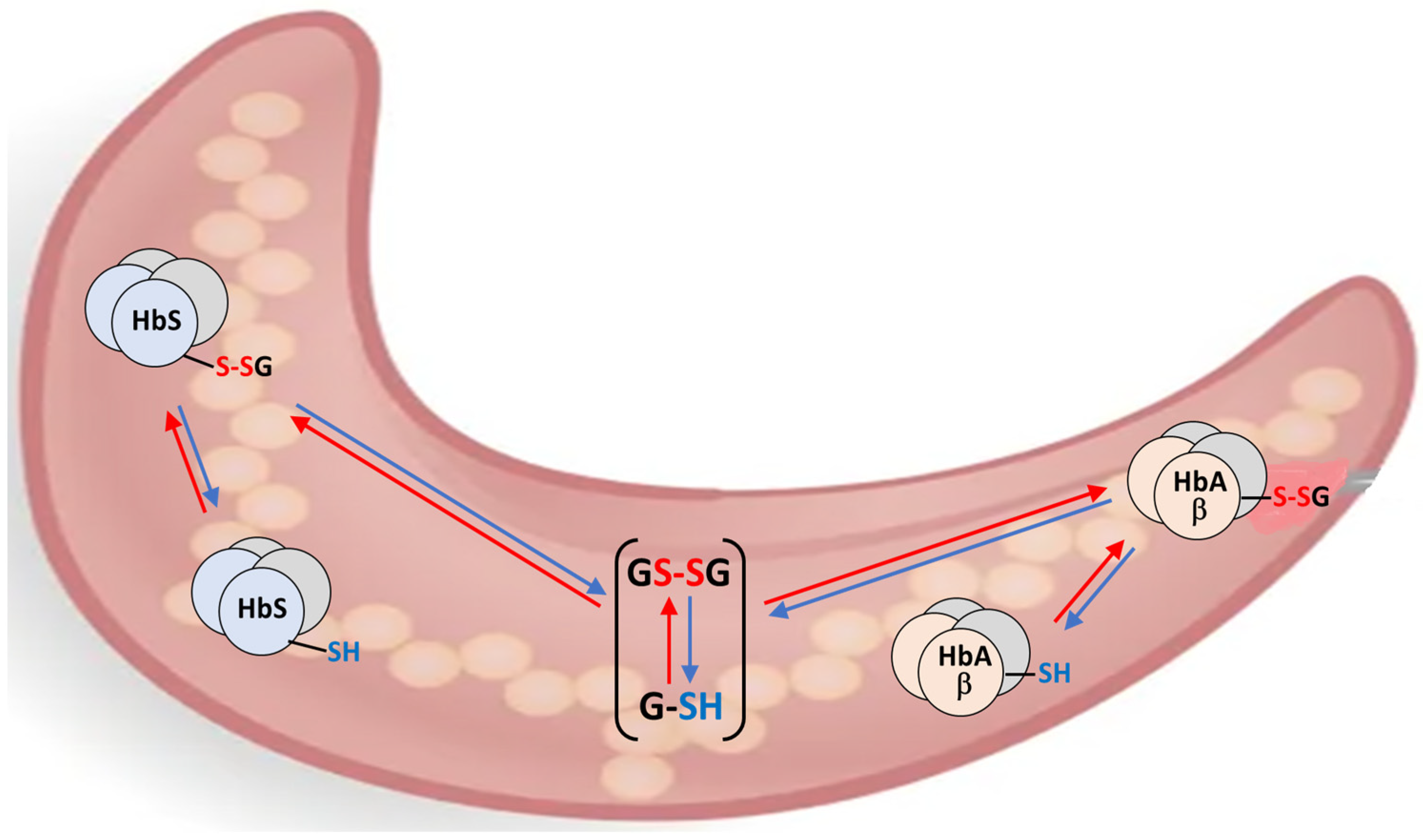 Molecules 30 04342 g001