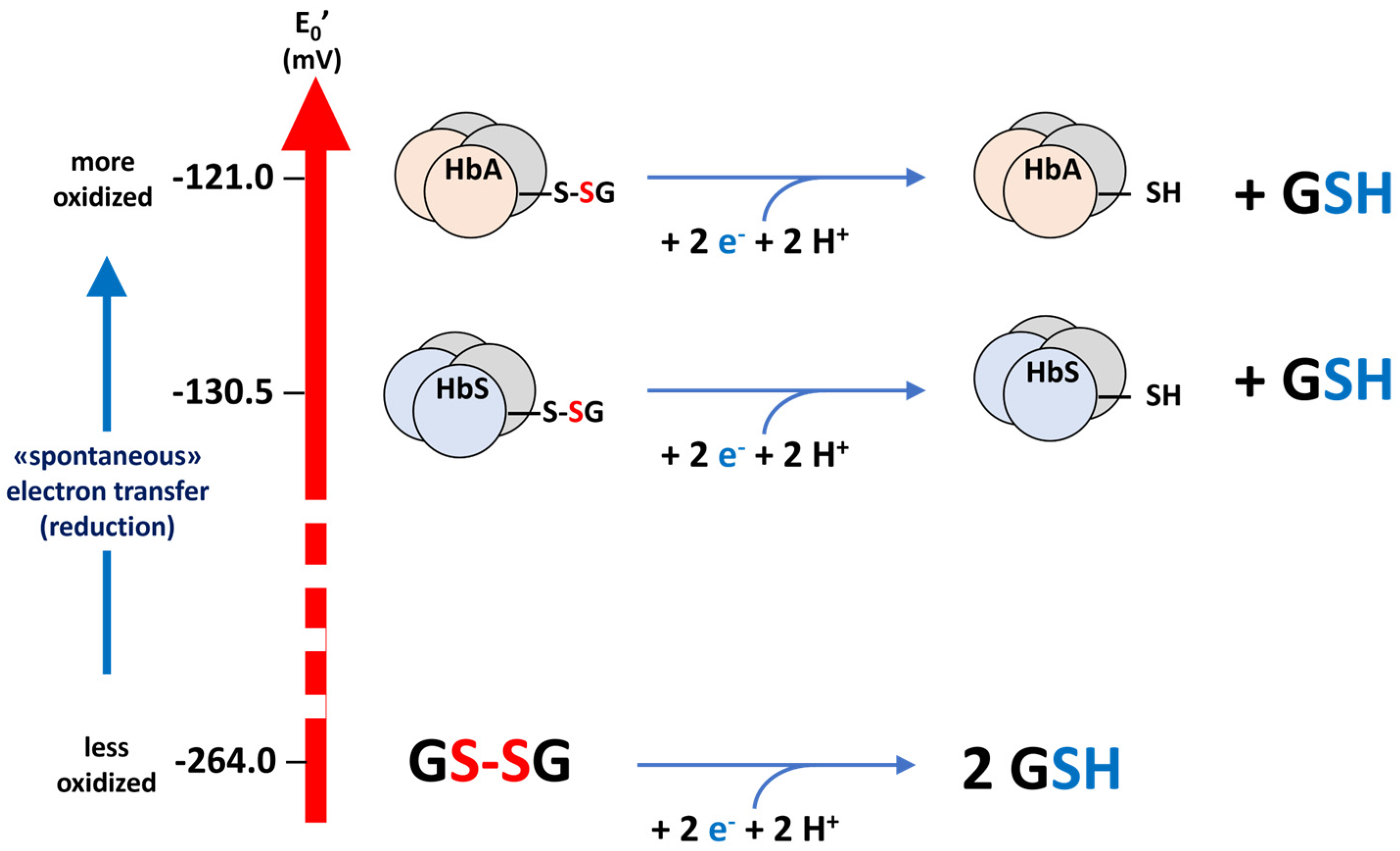 Molecules 30 04342 g003
