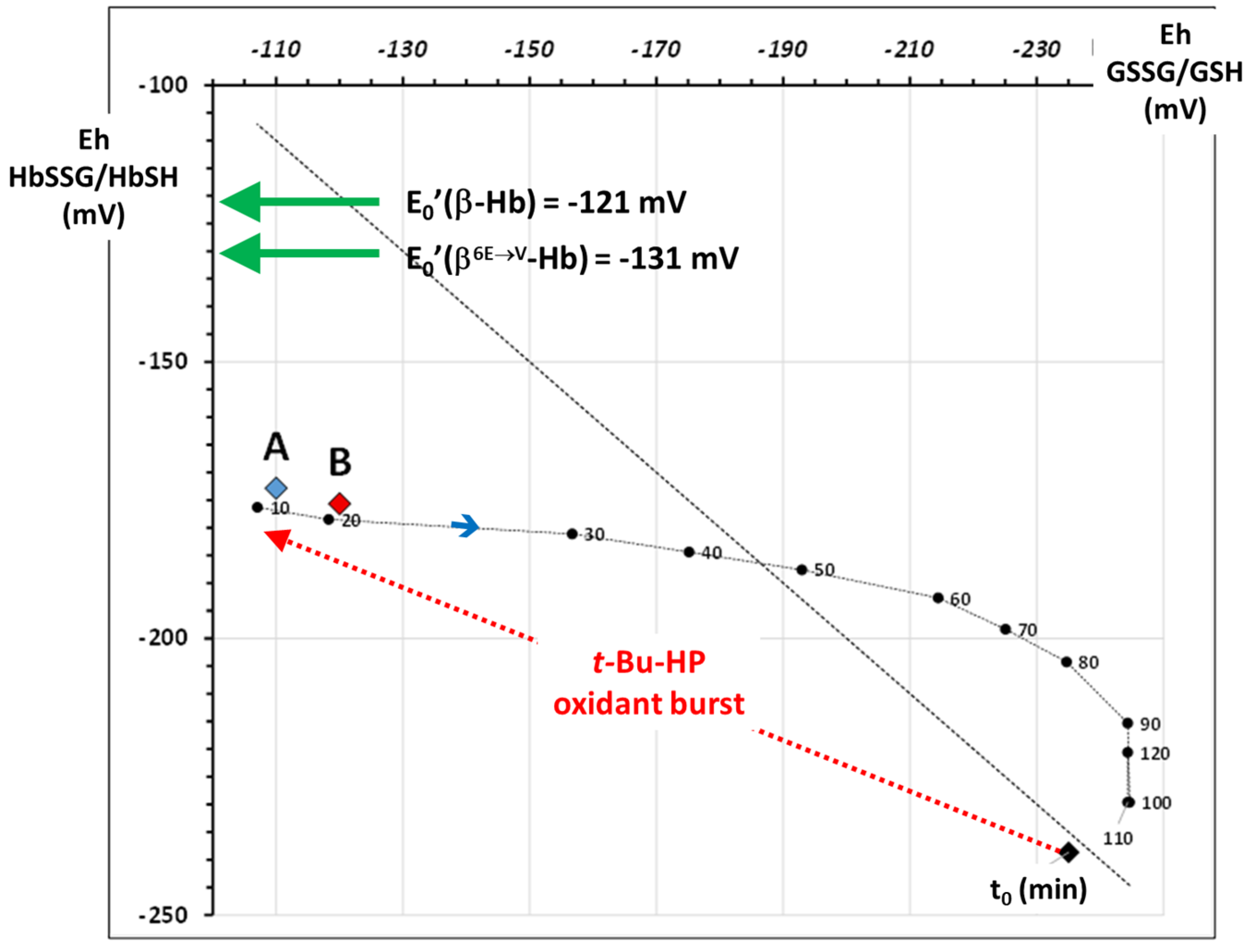 Molecules 30 04342 g004