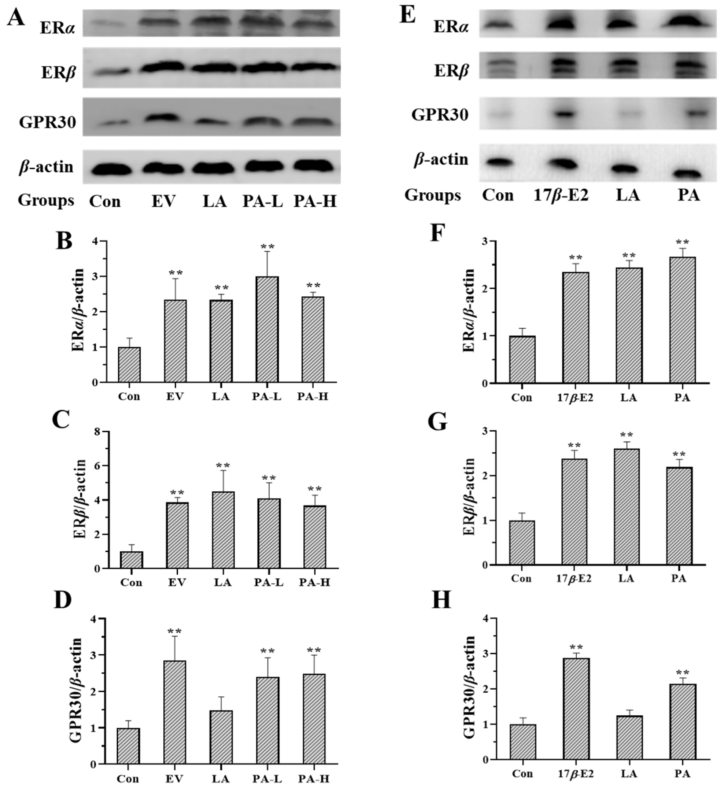 Molecules 30 04347 g005