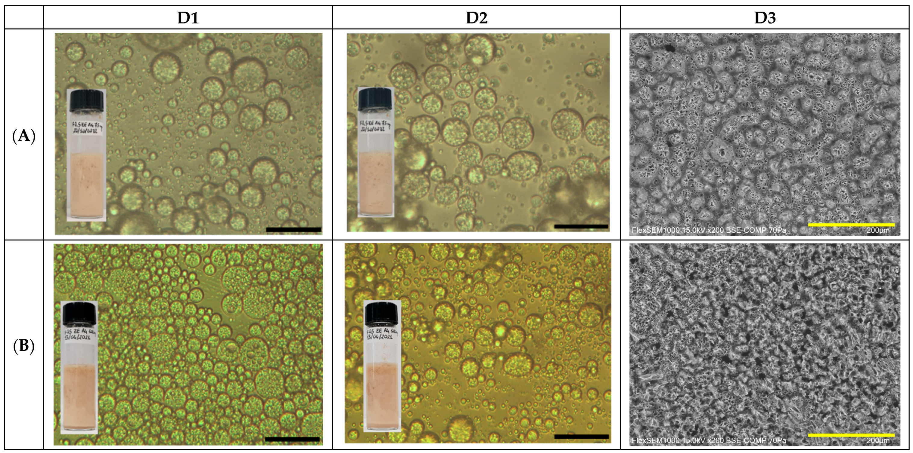Molecules 30 04349 g001a