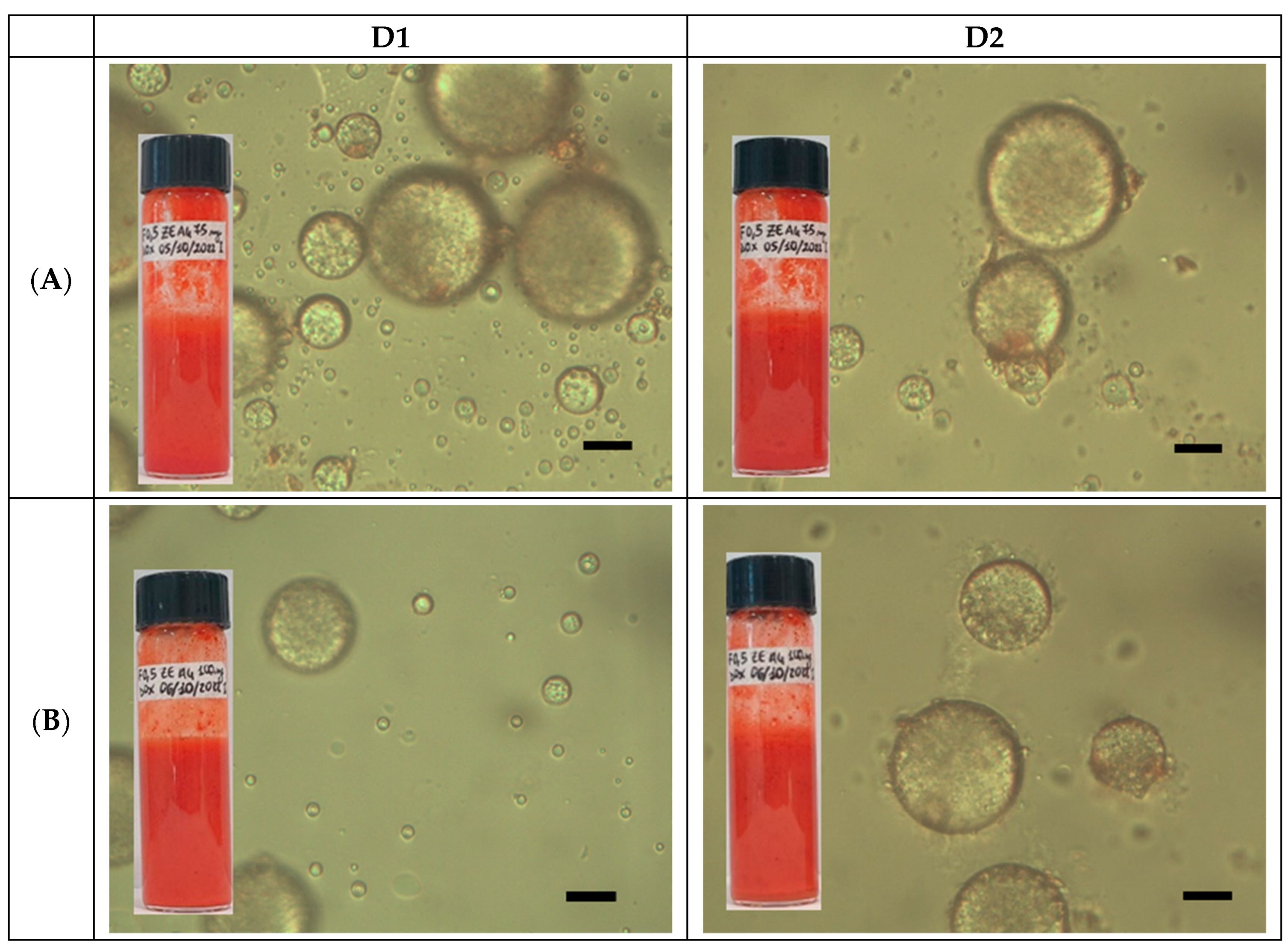 Molecules 30 04349 g004