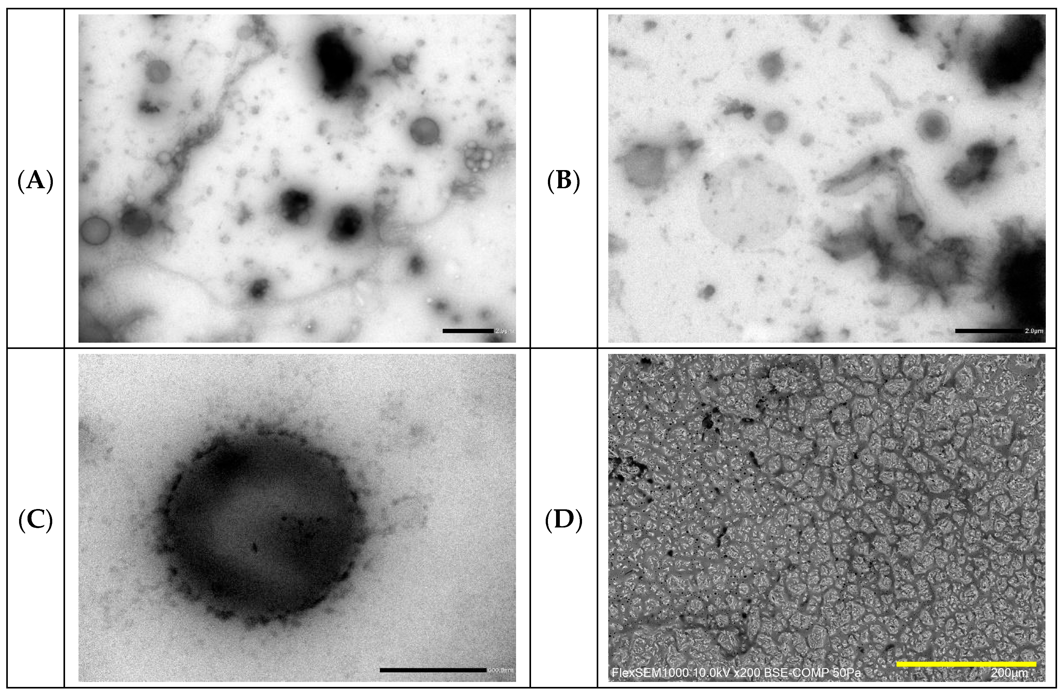 Molecules 30 04349 g005