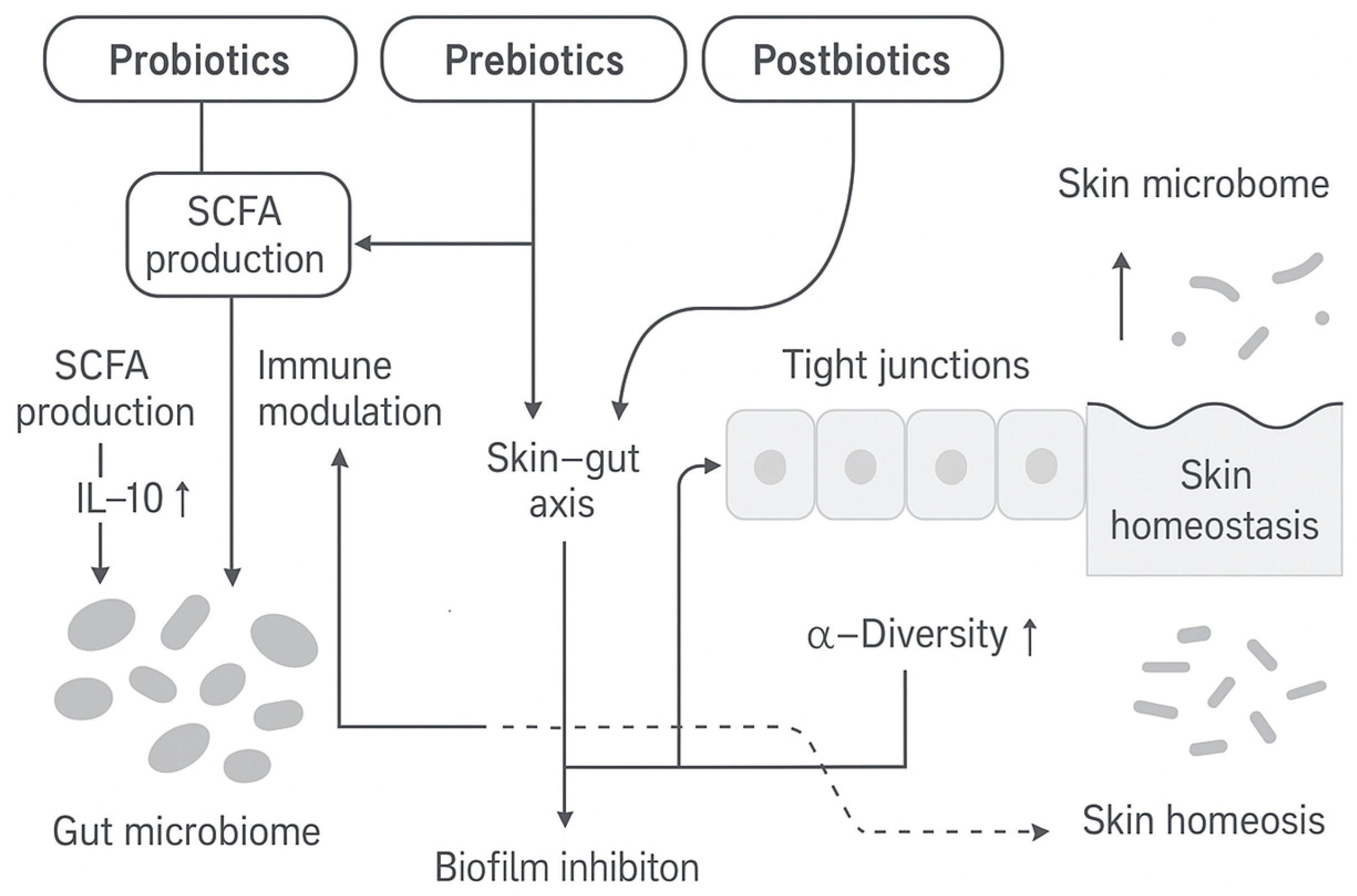 Molecules 30 04363 g001