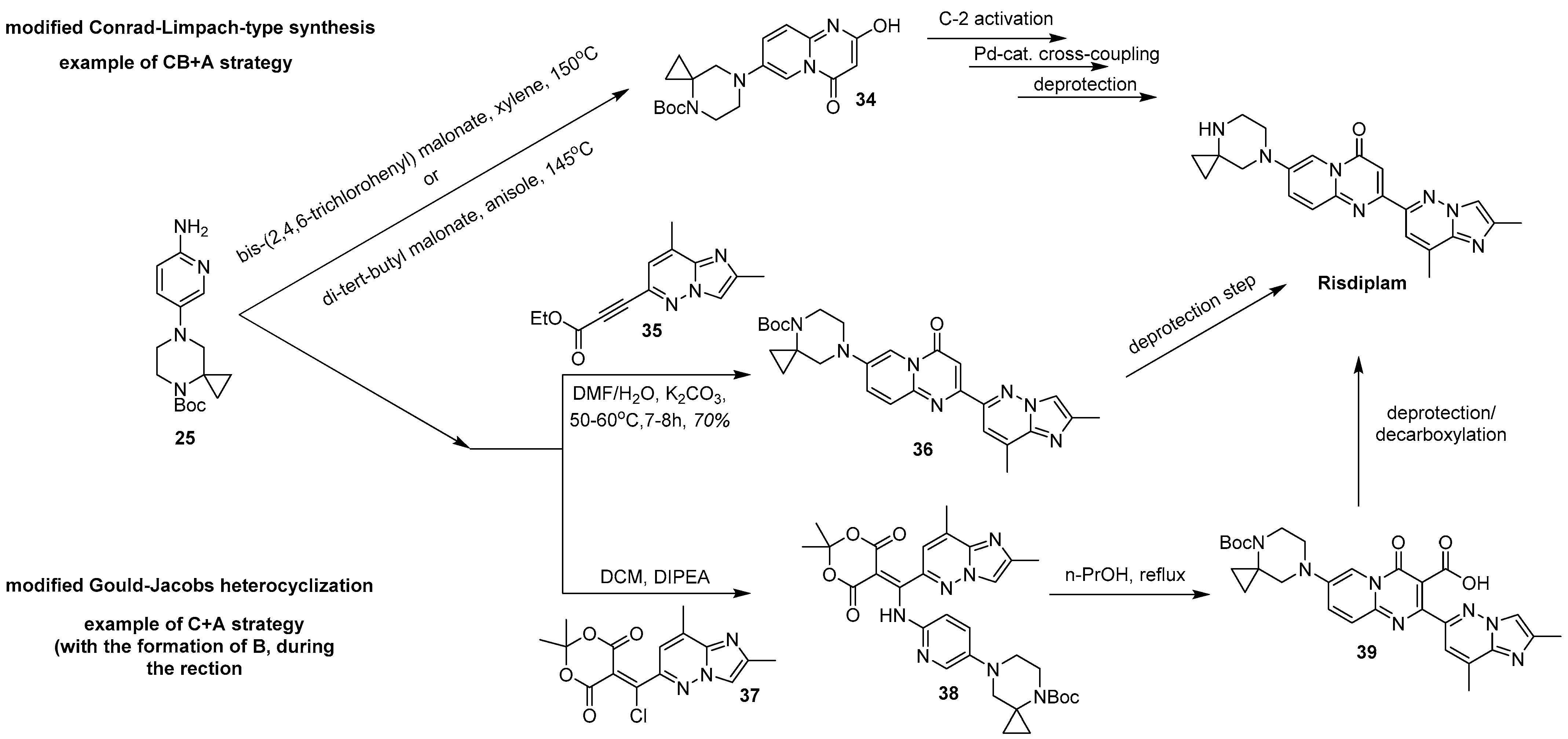 Molecules 30 04365 g013