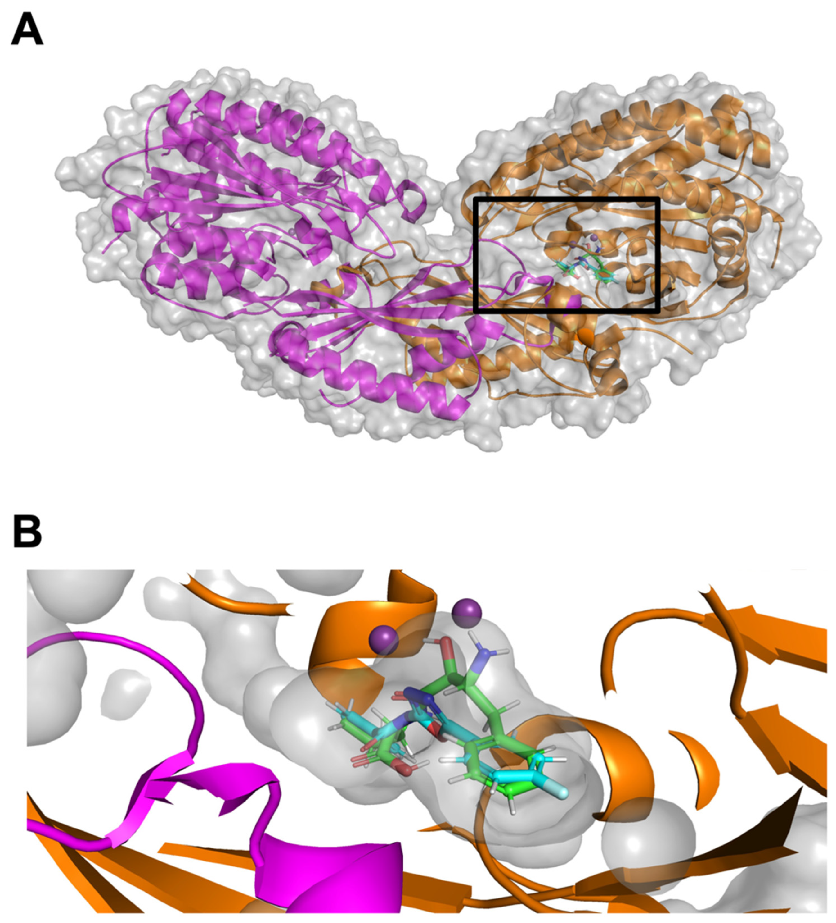 Molecules 30 04370 g003