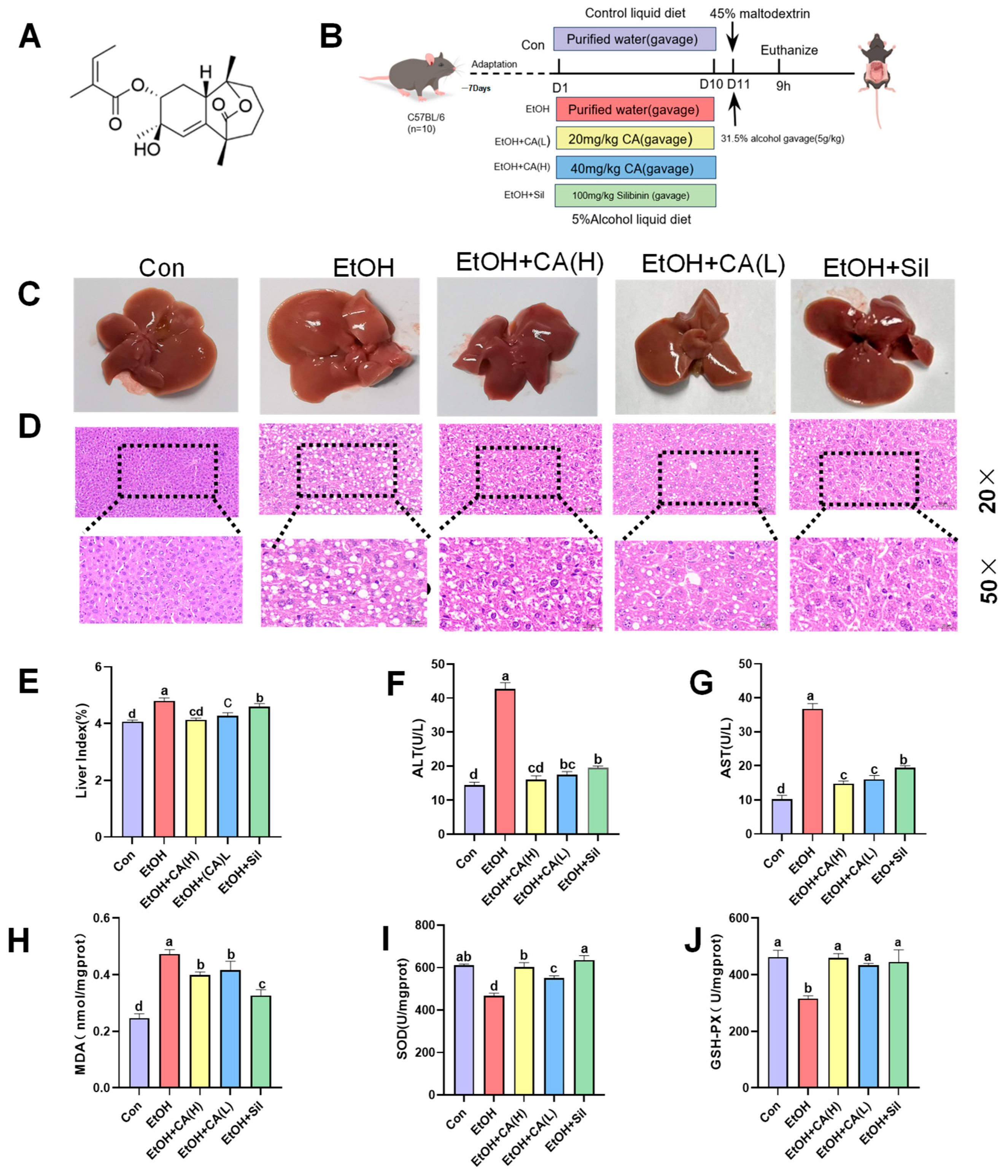 Molecules 30 04371 g001