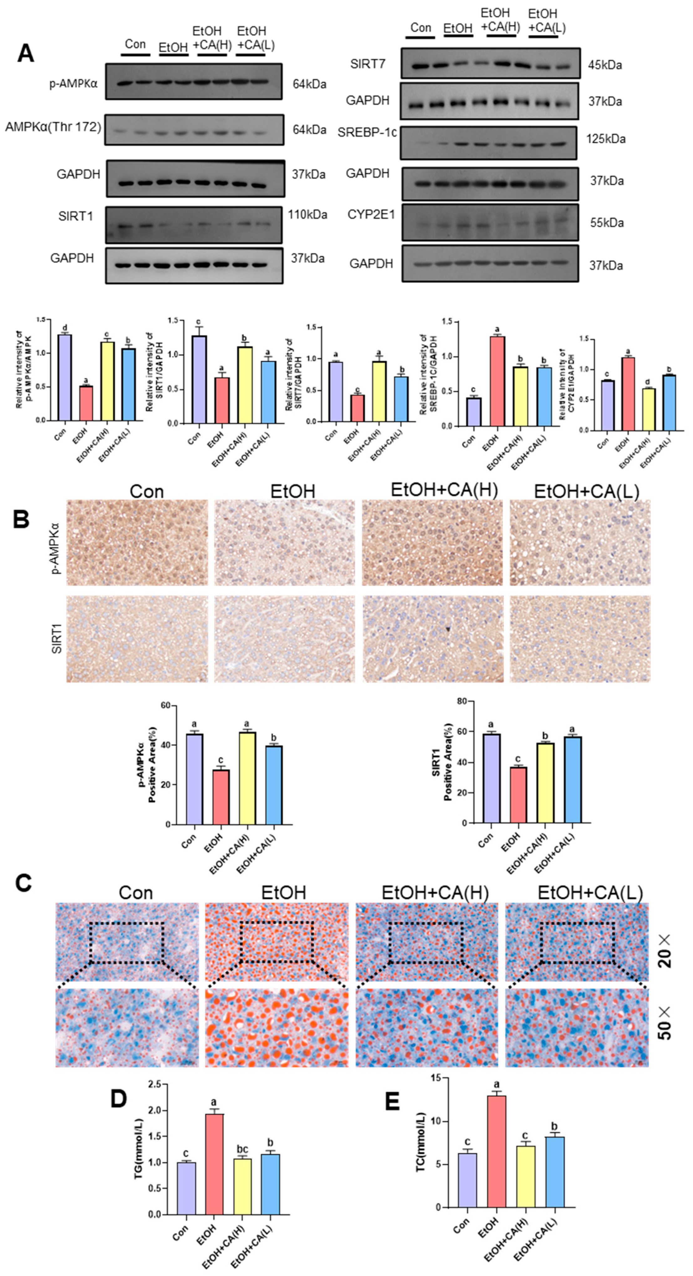 Molecules 30 04371 g004