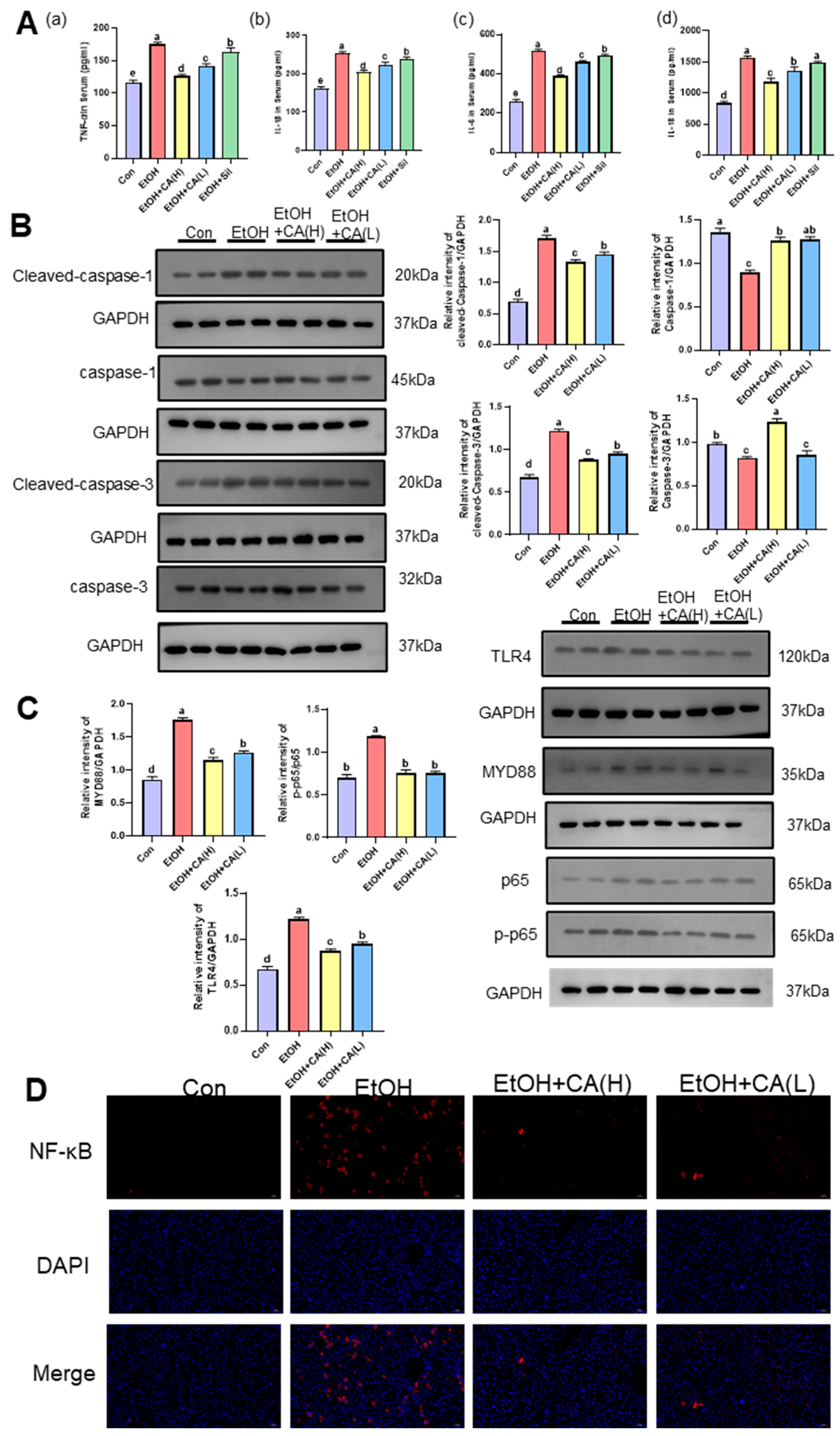 Molecules 30 04371 g005