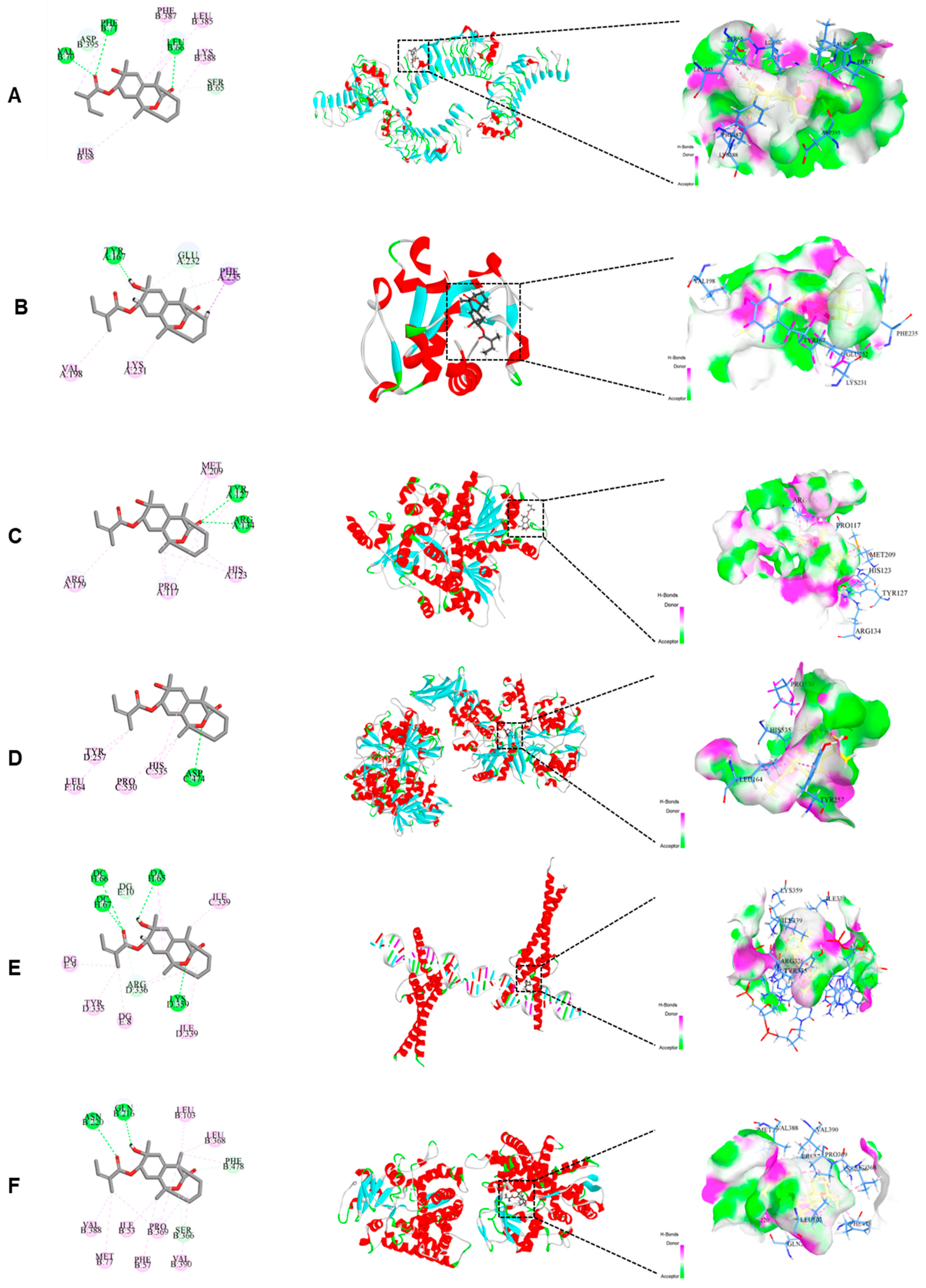 Molecules 30 04371 g006