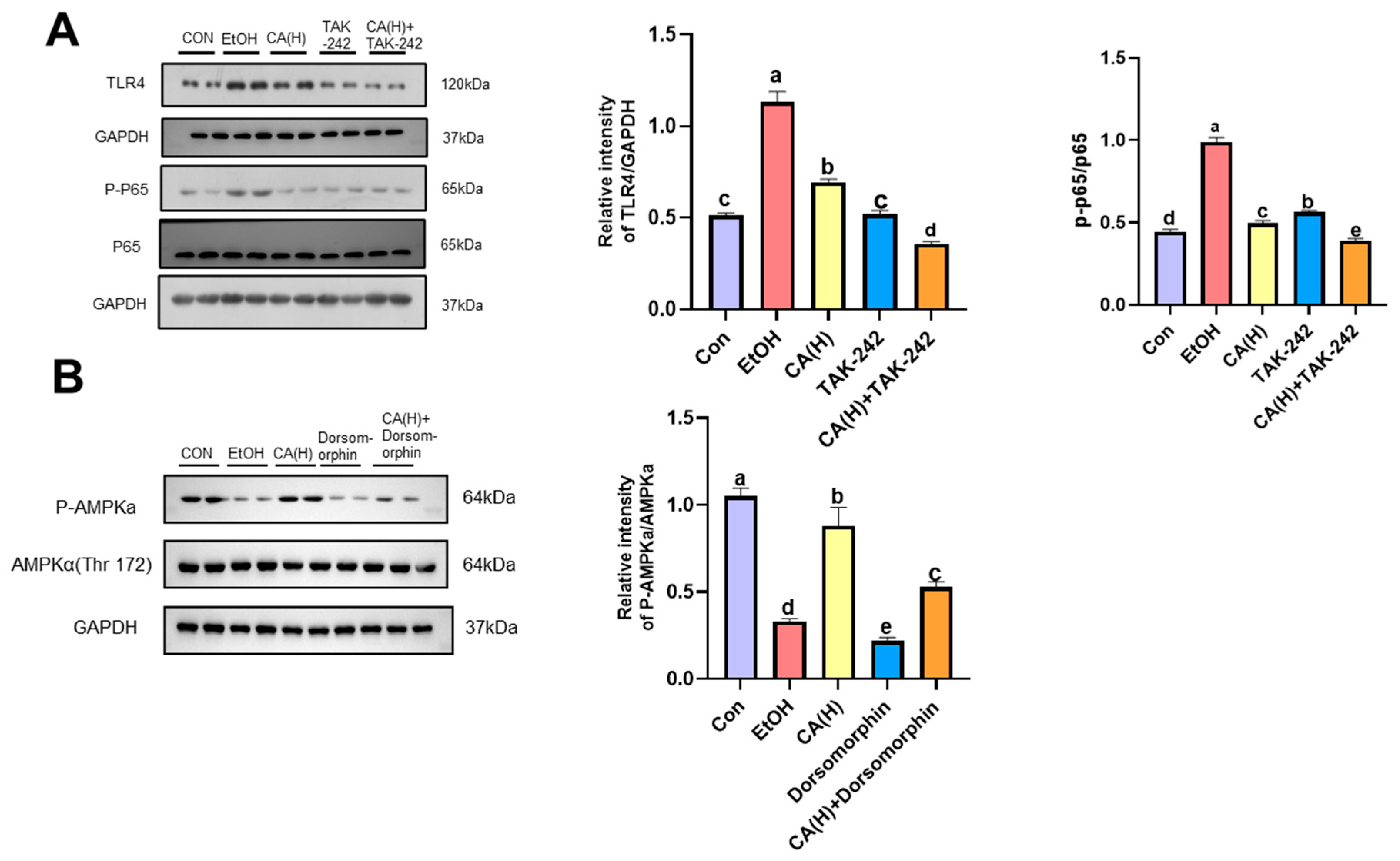 Molecules 30 04371 g008