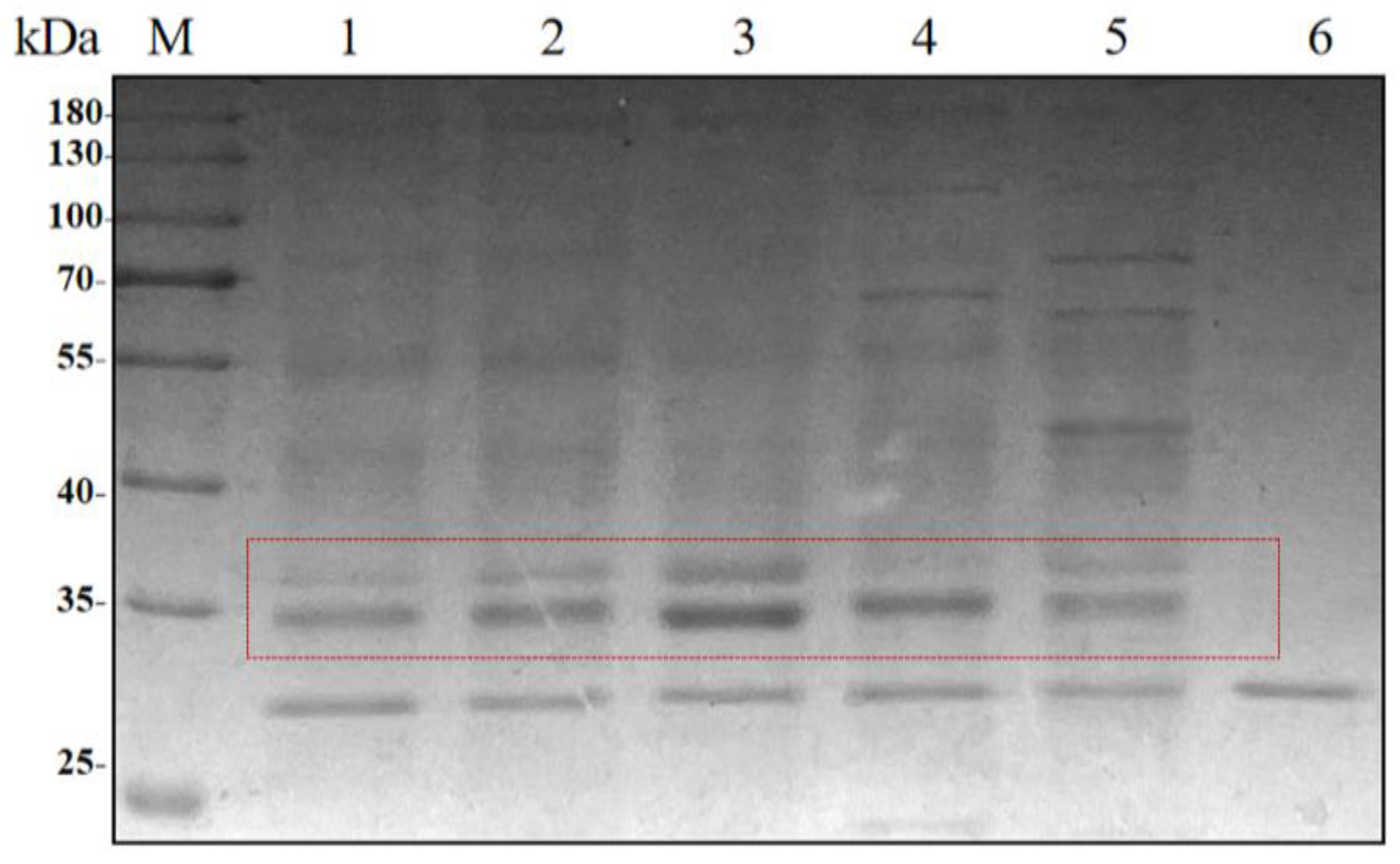 Molecules 30 04374 g002