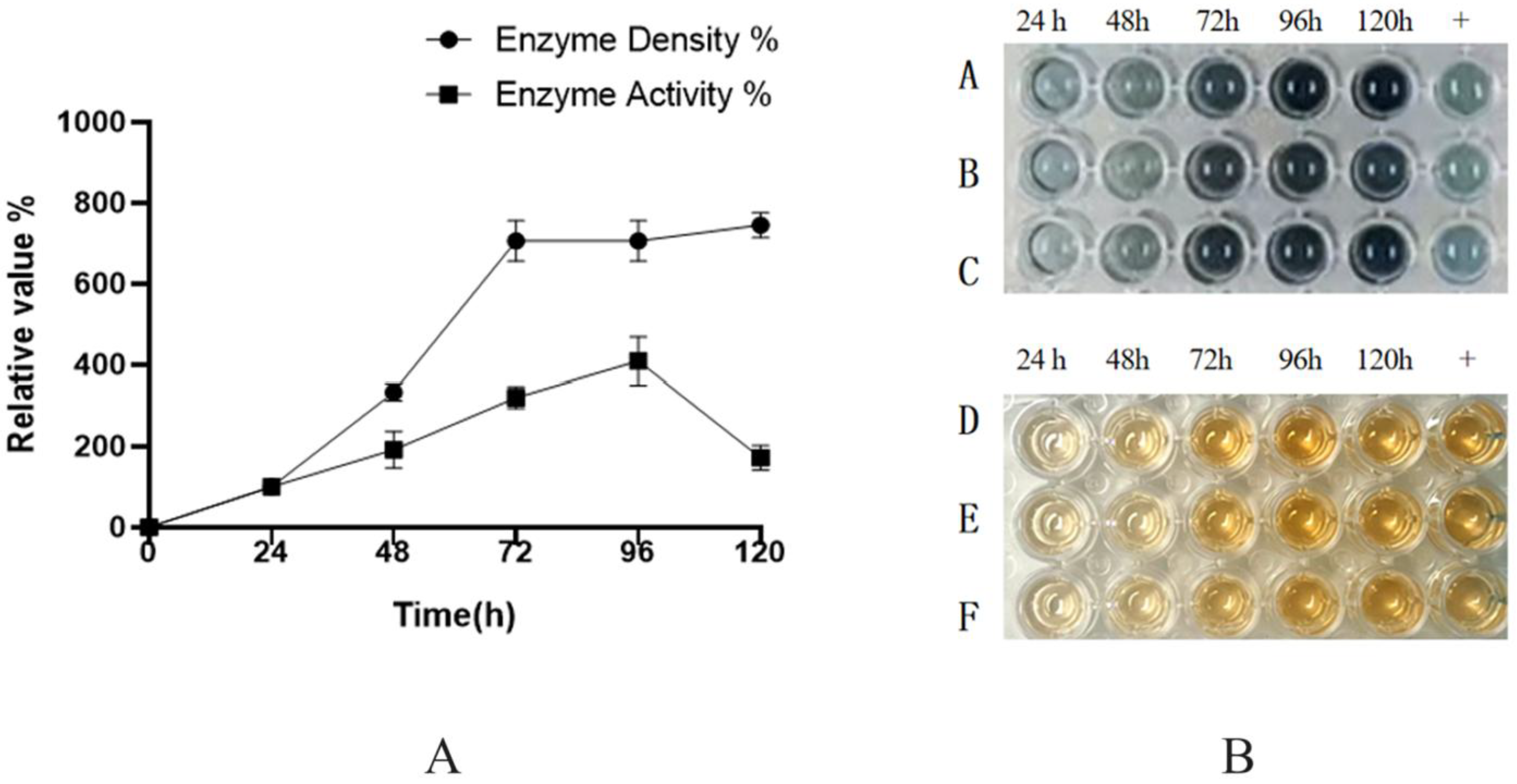 Molecules 30 04374 g004
