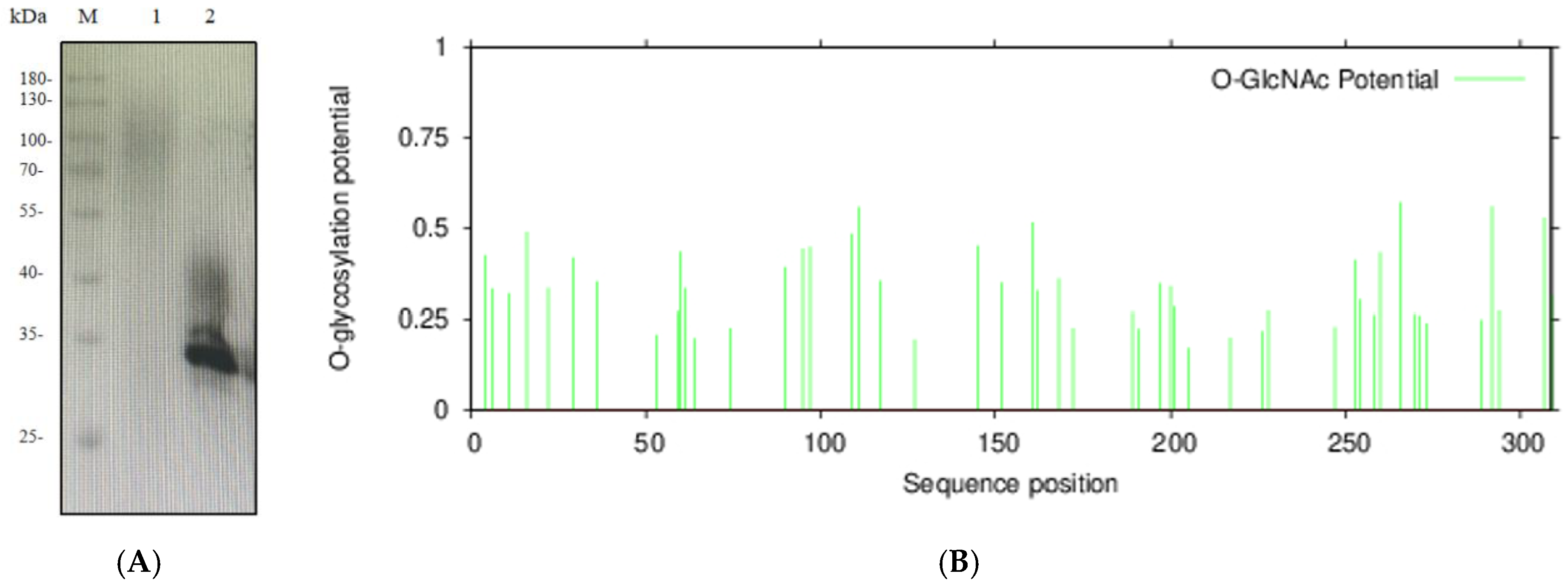 Molecules 30 04374 g005