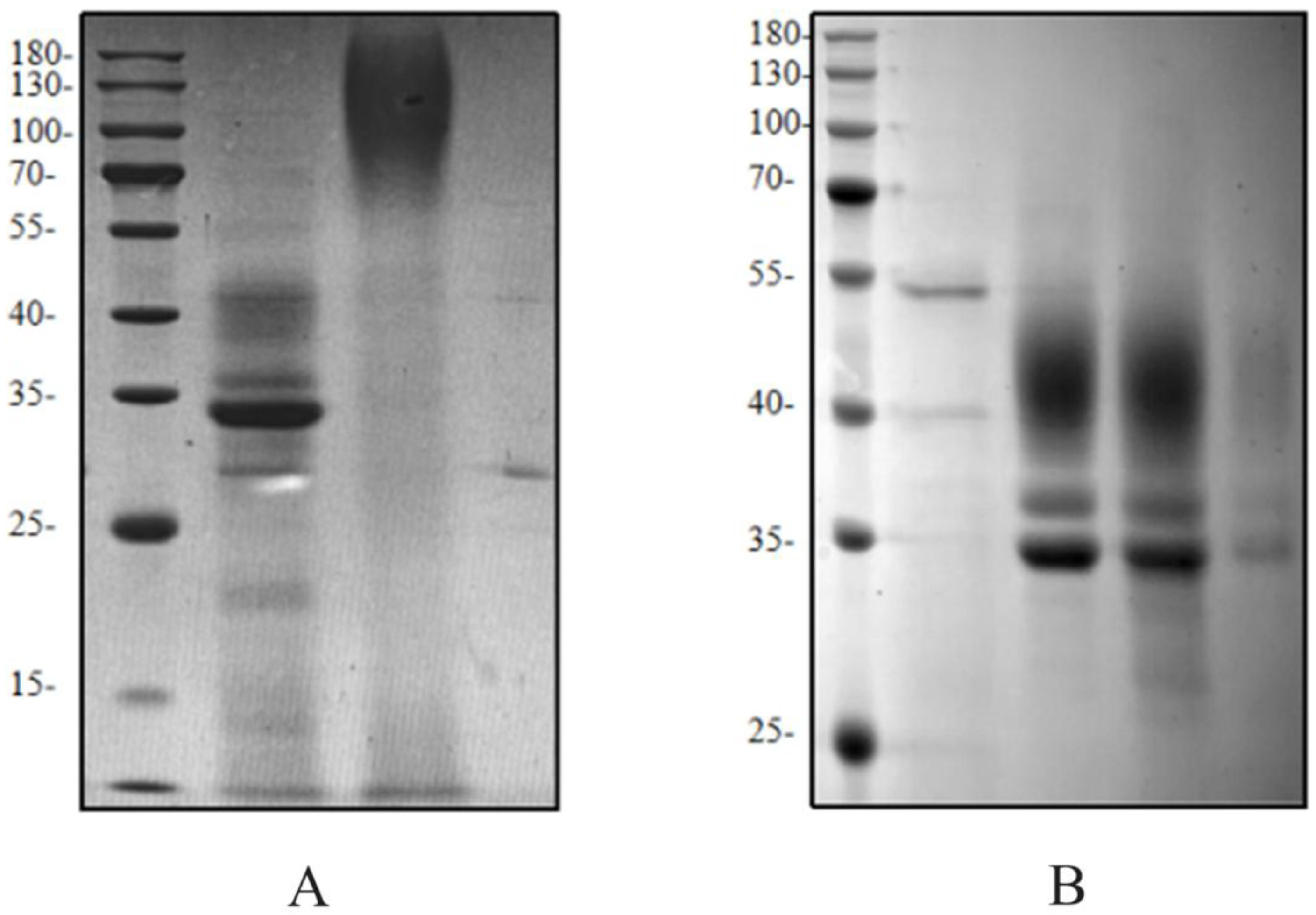 Molecules 30 04374 g006