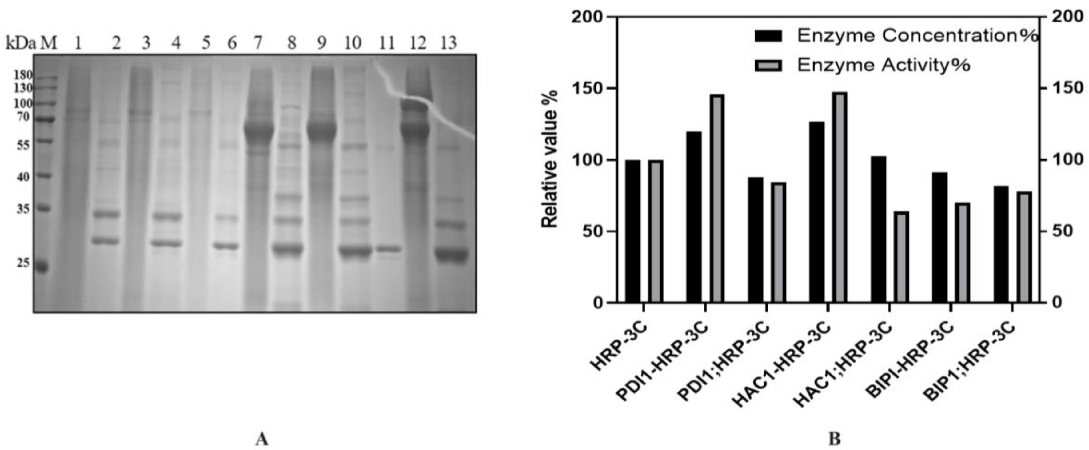 Molecules 30 04374 g008