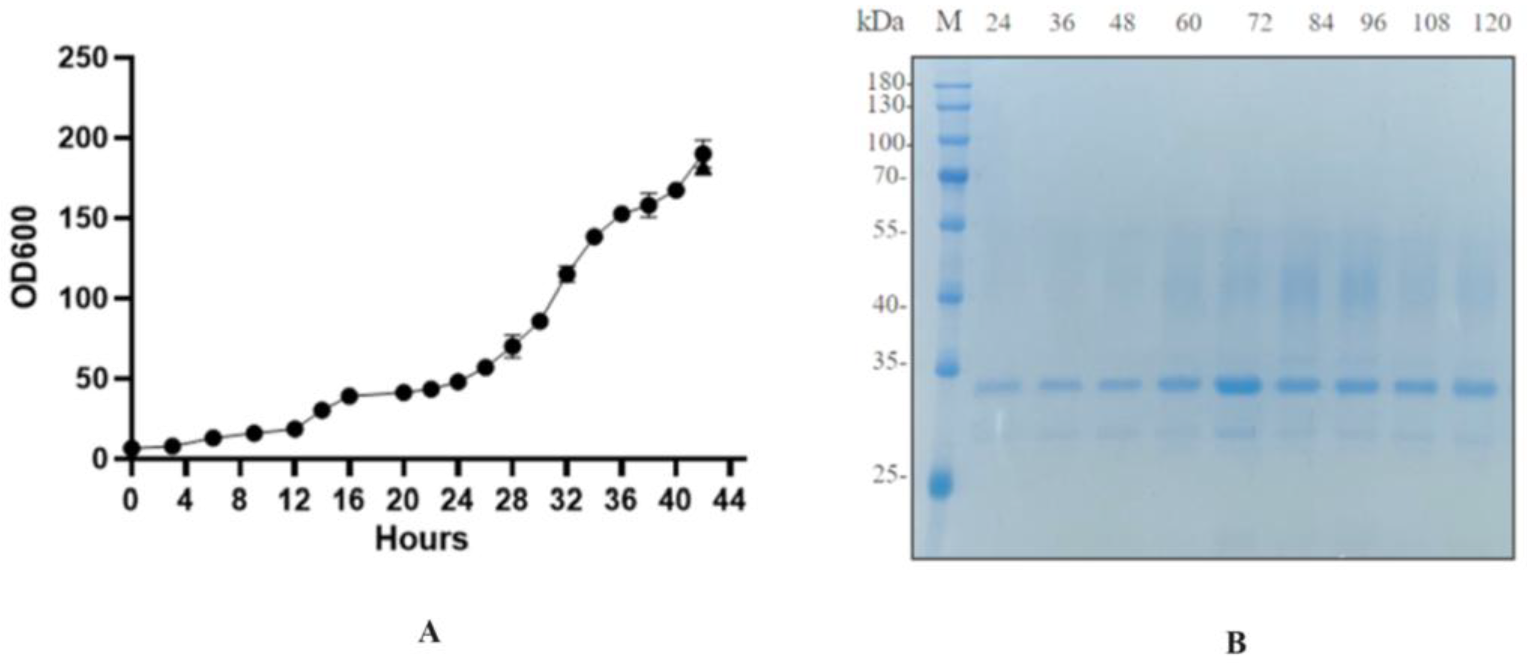 Molecules 30 04374 g009
