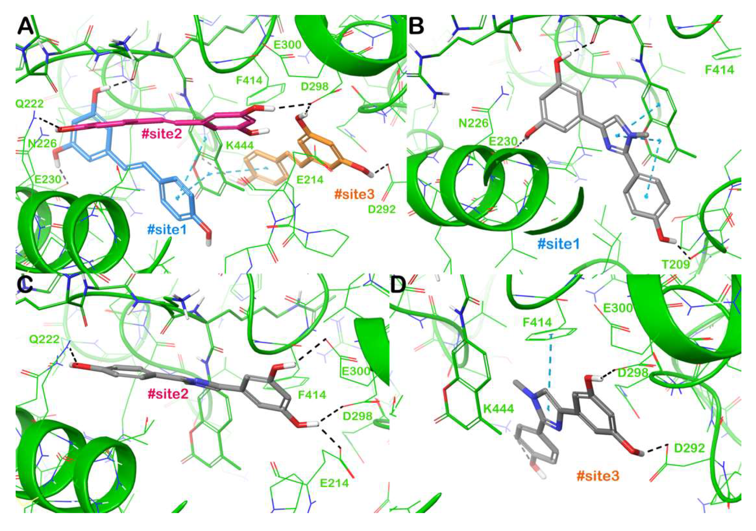 Molecules 30 04378 g005