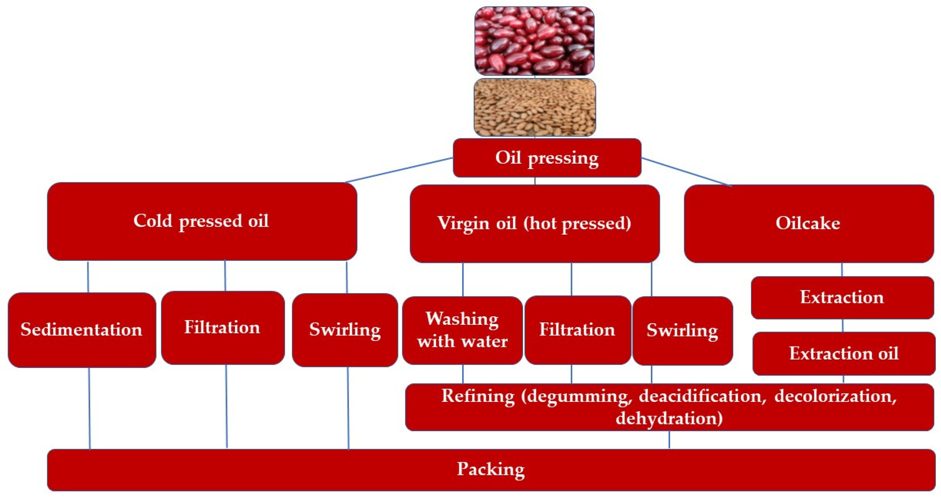 Molecules 30 04382 g003 Molecules 30 04382 g003
