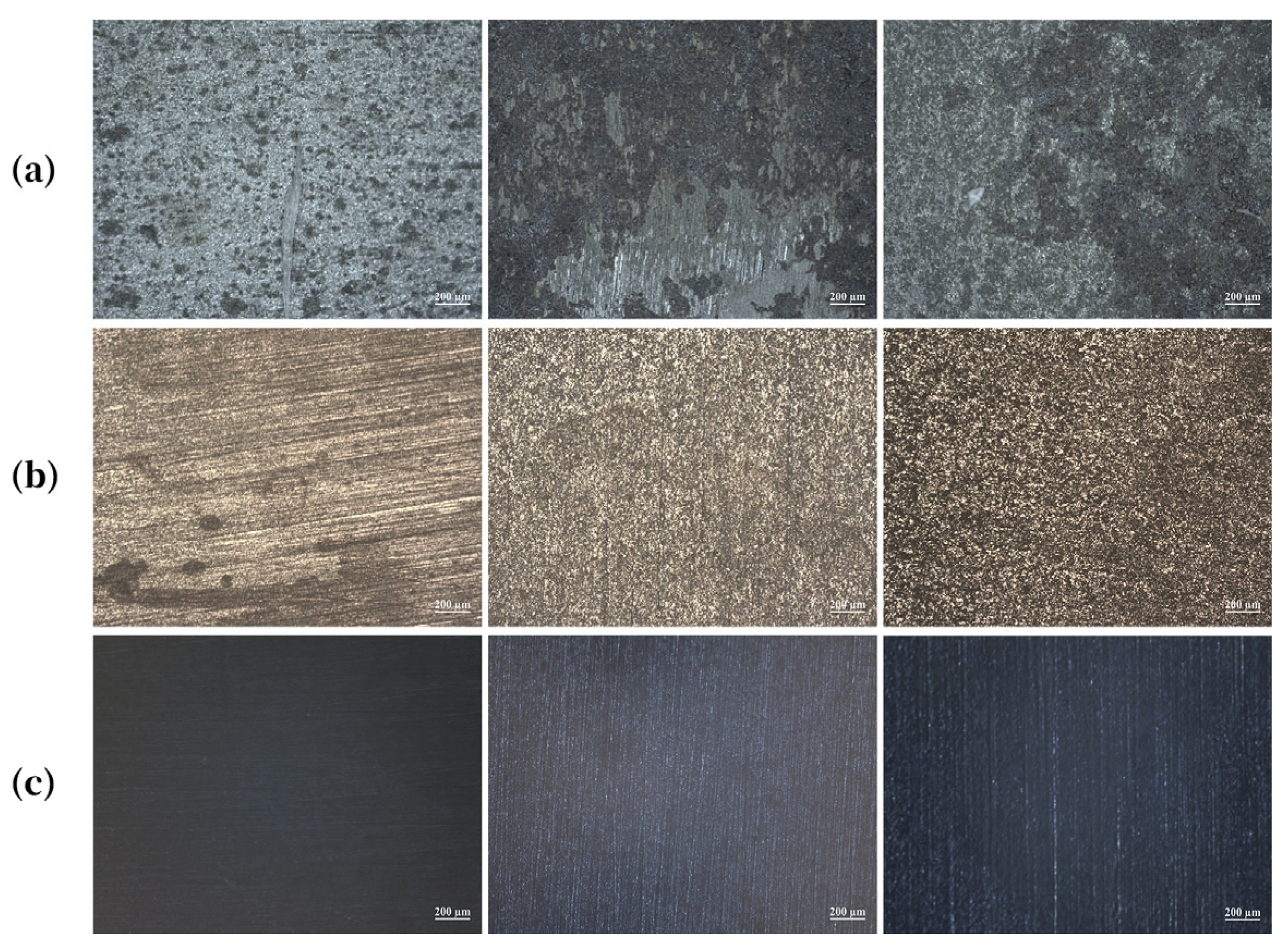 Molecules 30 04383 g002