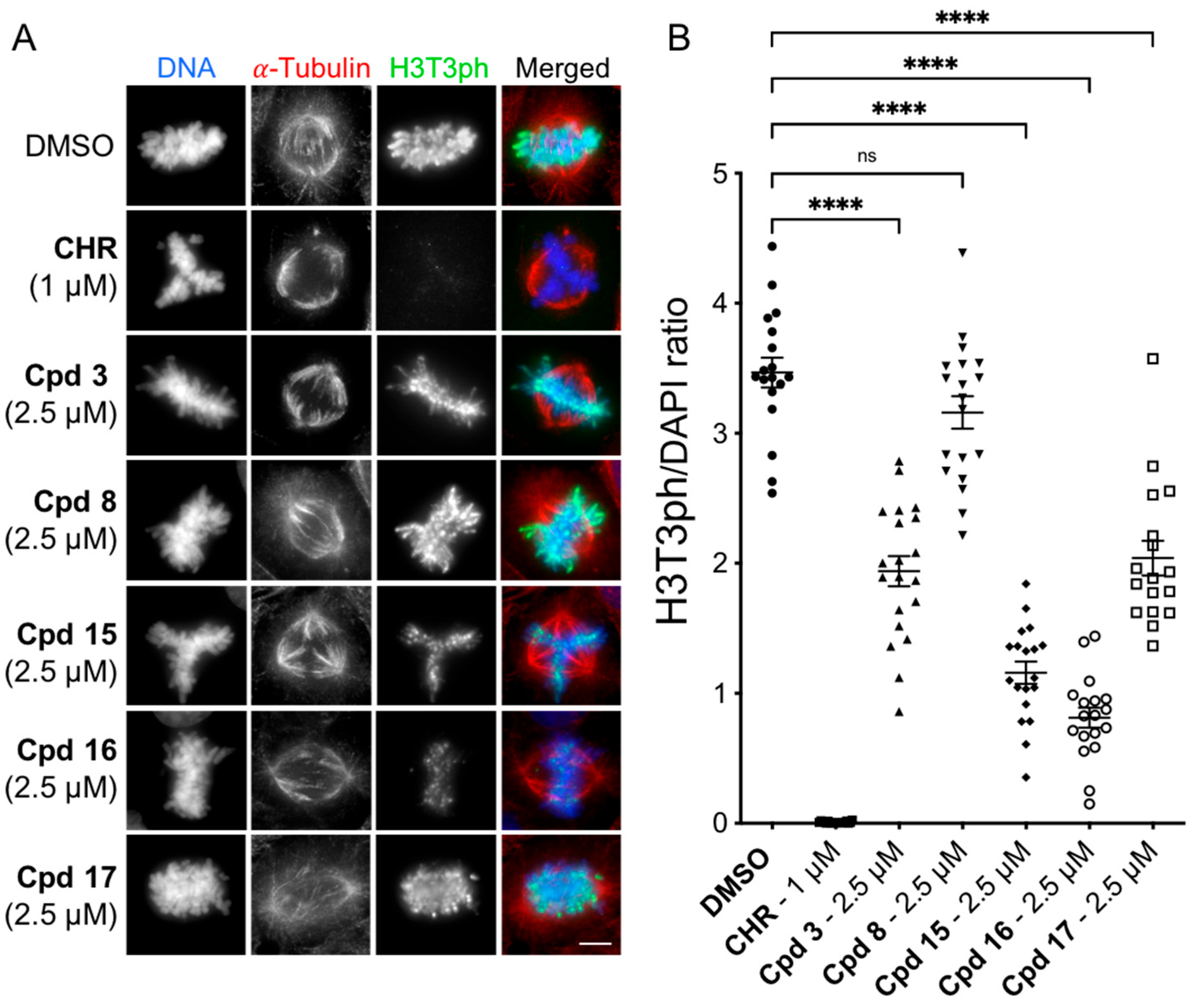 Molecules 30 04388 g004 Molecules 30 04388 g004