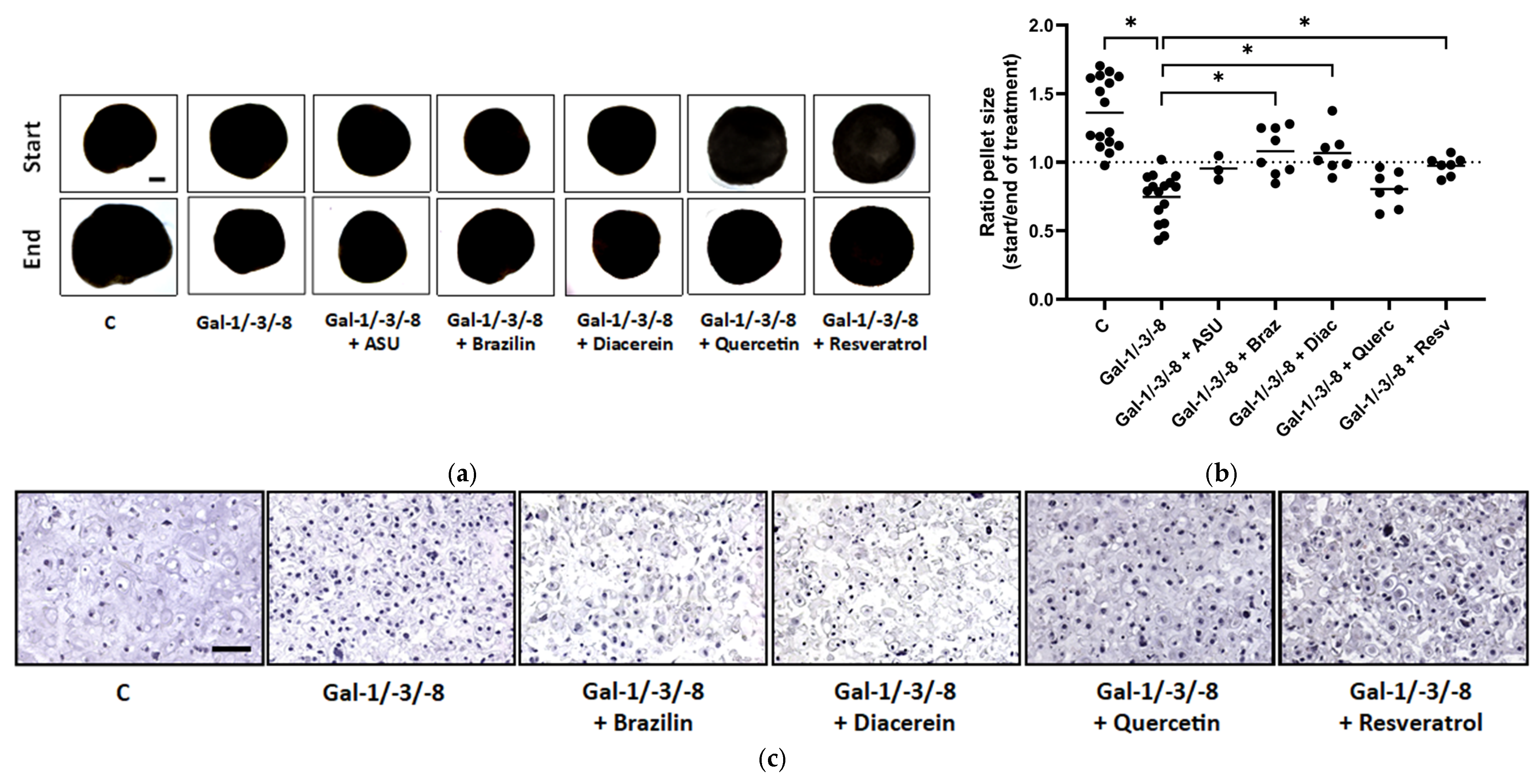 Molecules 30 04391 g006a Molecules 30 04391 g006a
