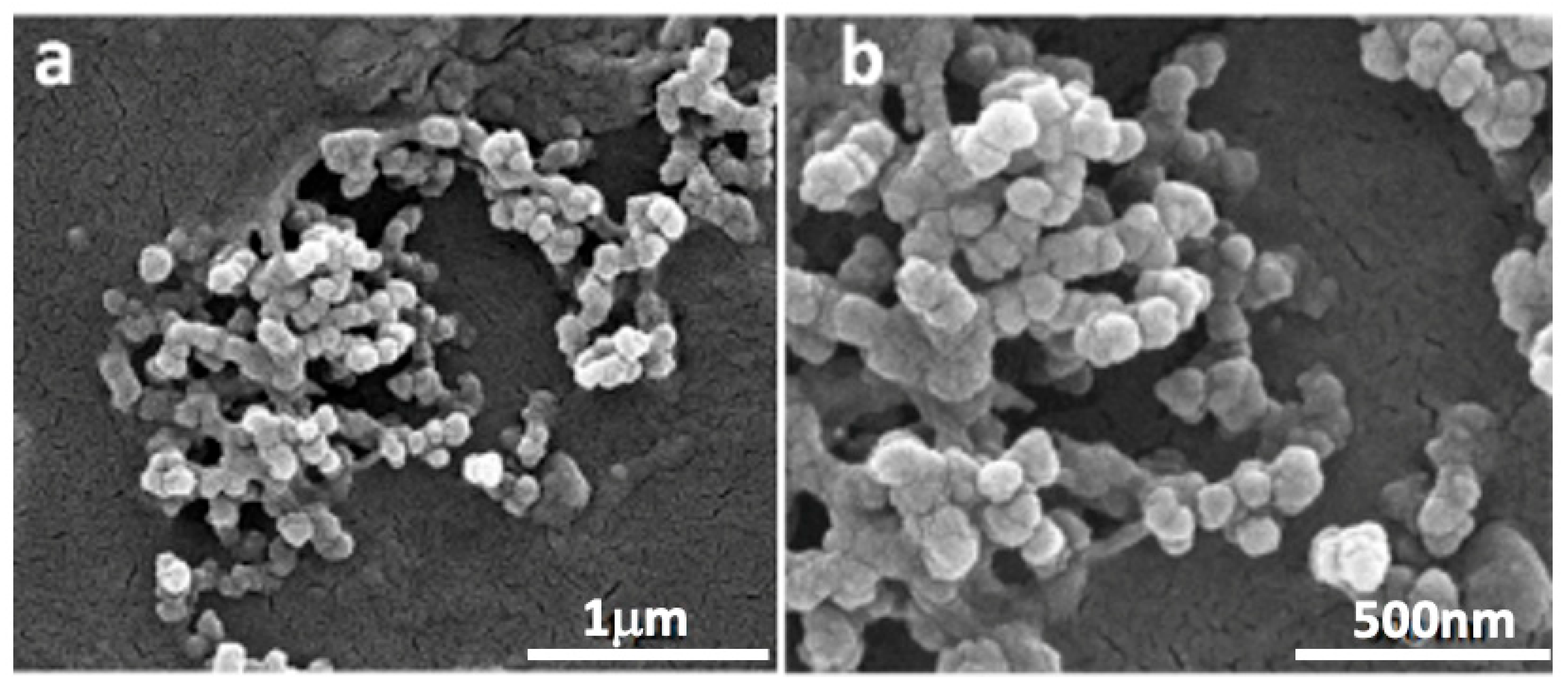 Molecules 30 04400 g001 Molecules 30 04400 g001