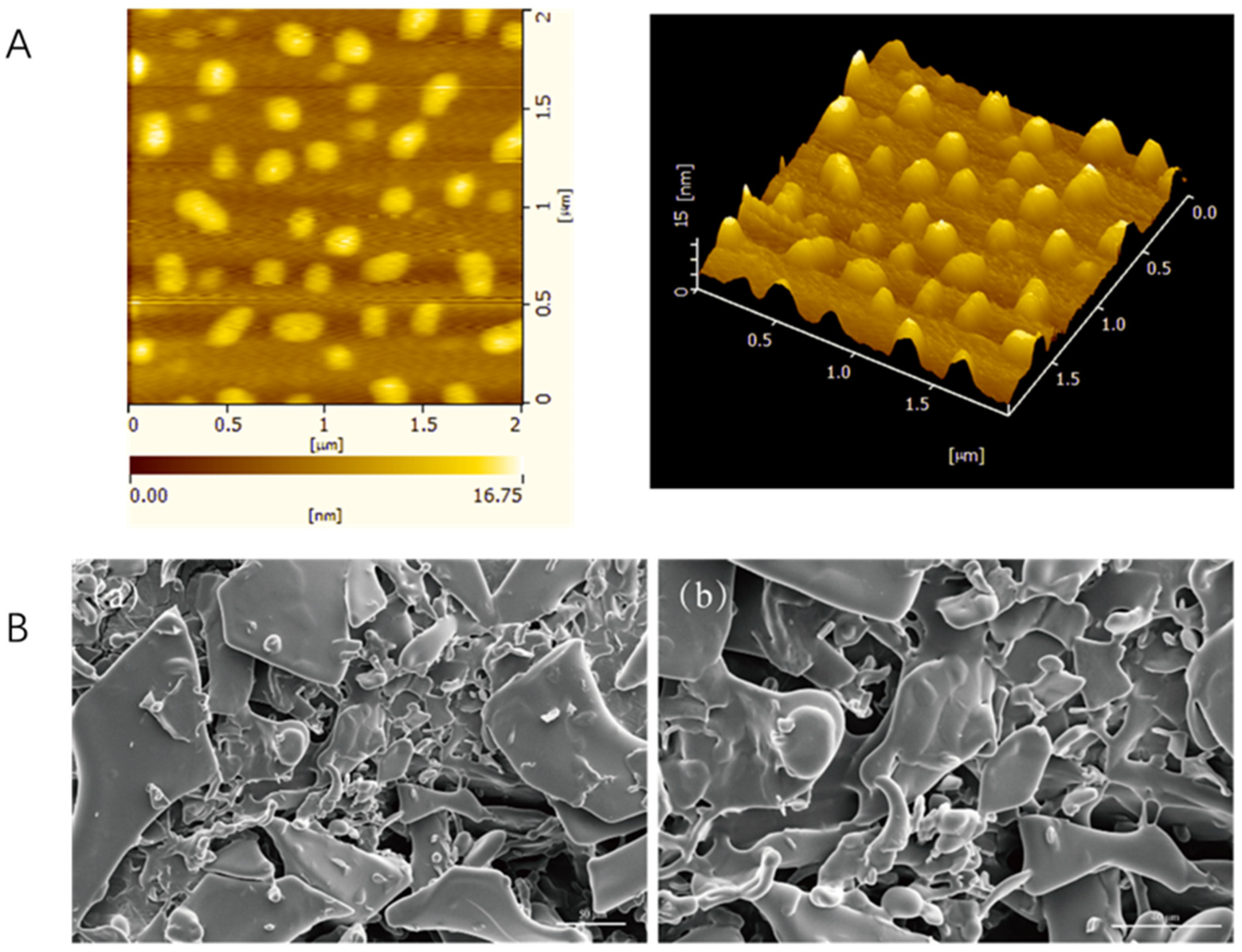 Molecules 30 04403 g001 Molecules 30 04403 g001