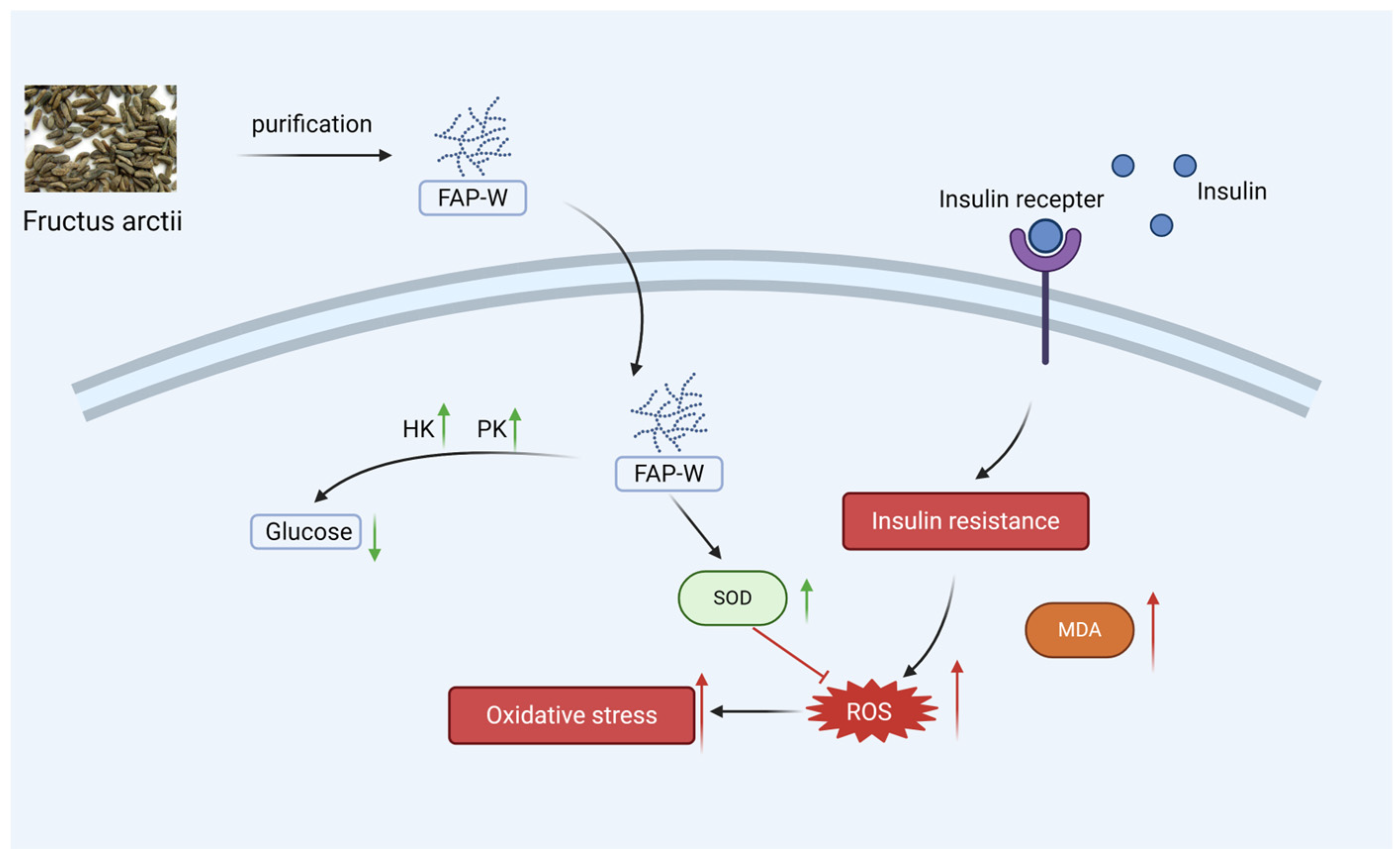 Molecules 30 04403 g006 Molecules 30 04403 g006