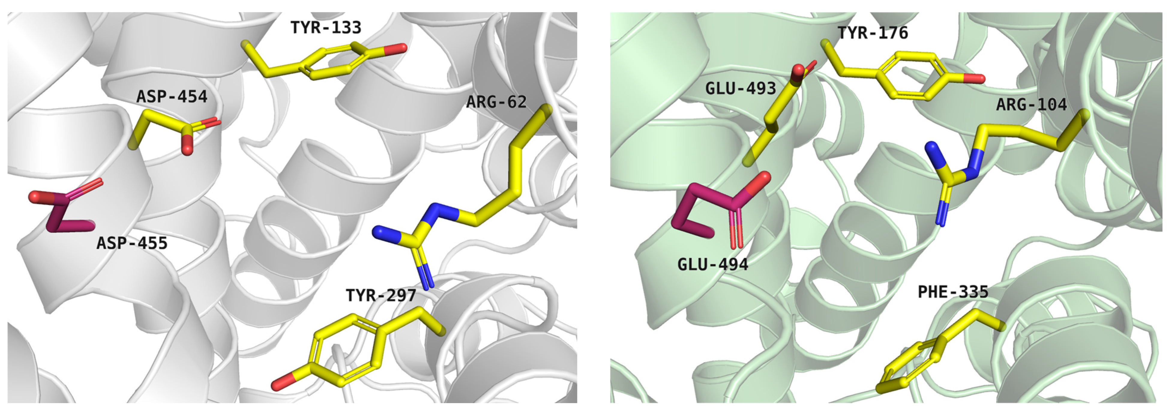 Molecules 30 04412 g003 Molecules 30 04412 g003
