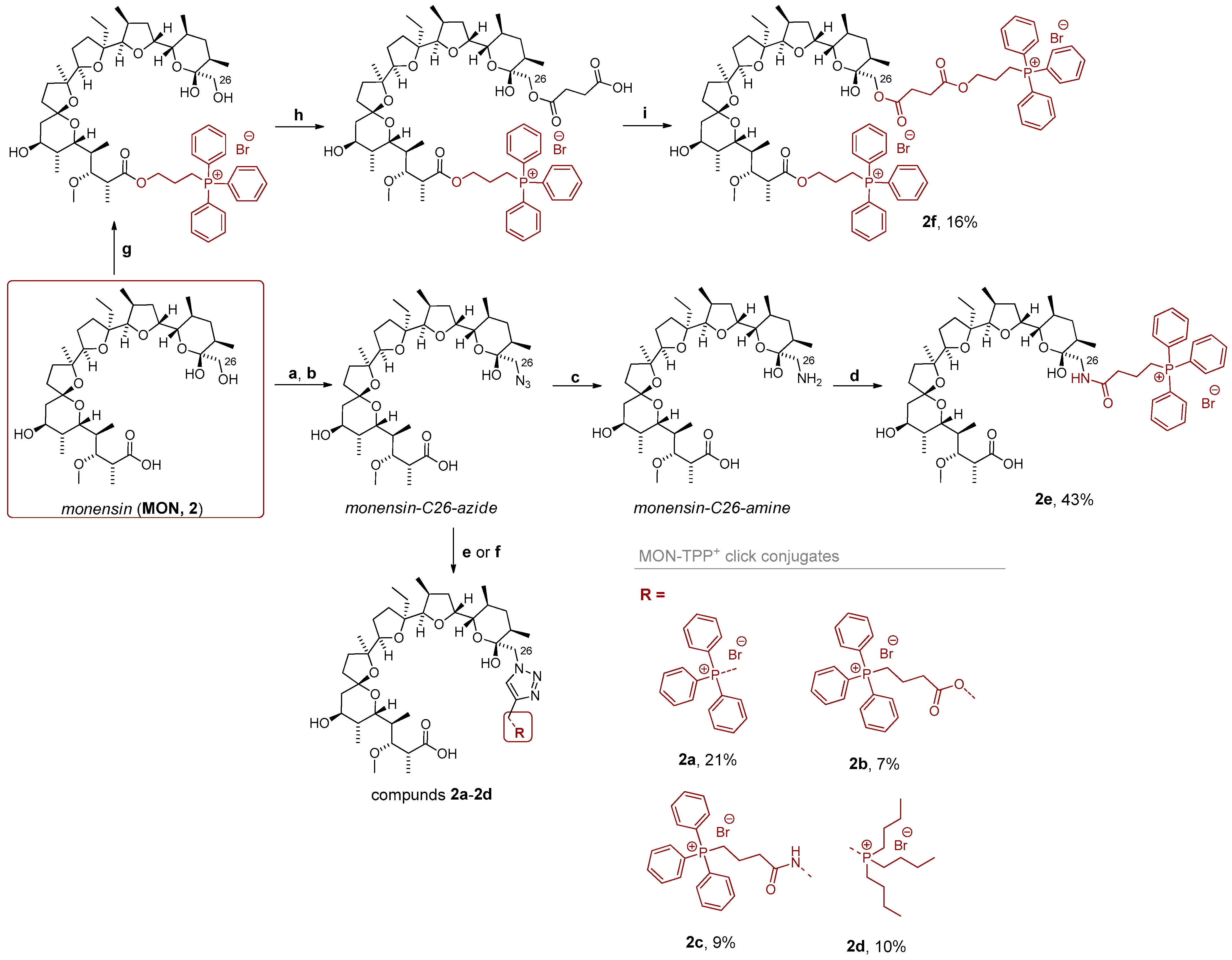 Molecules 30 04413 sch003 Molecules 30 04413 sch003