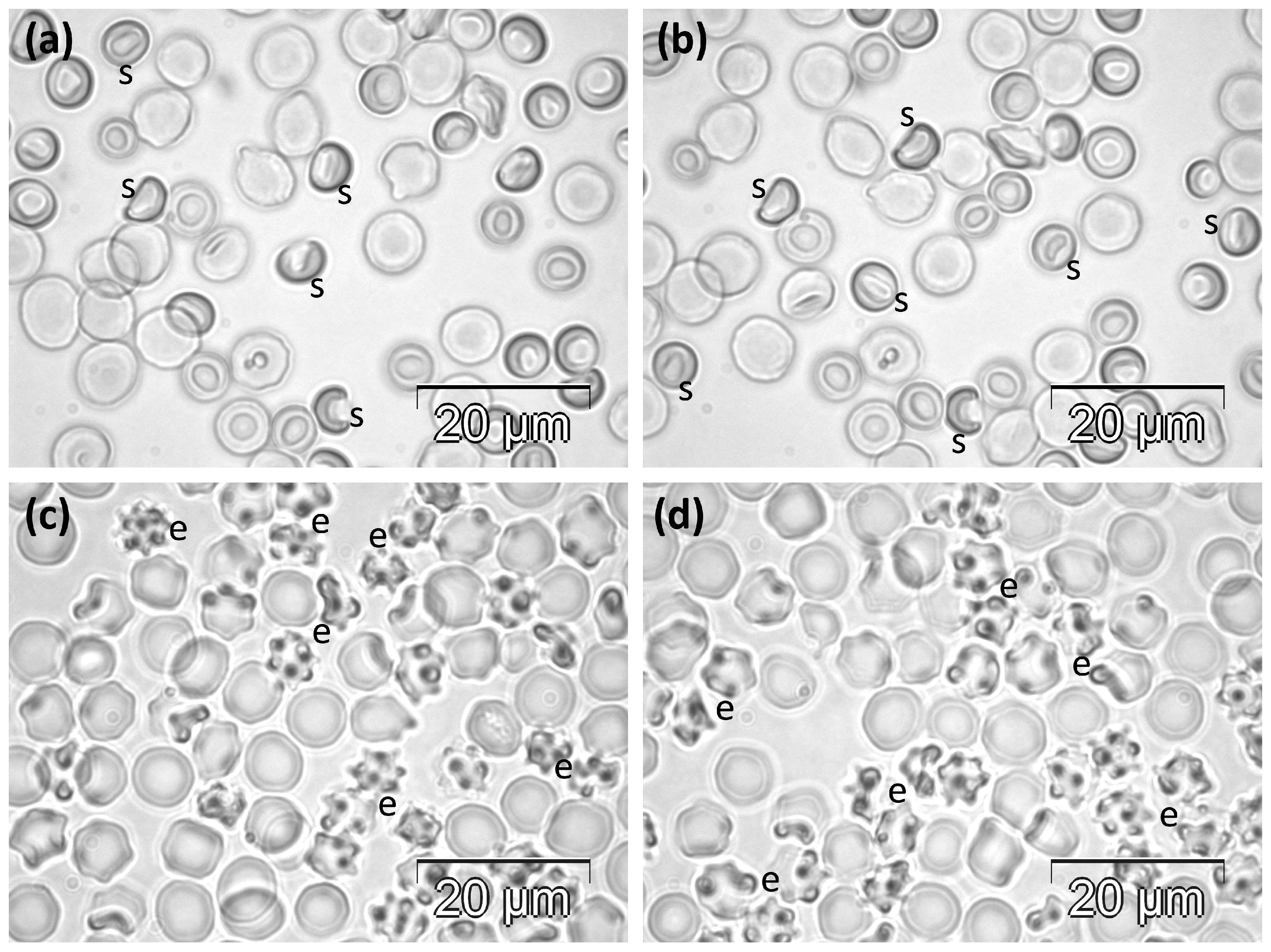 Molecules 30 04419 g003 Molecules 30 04419 g003