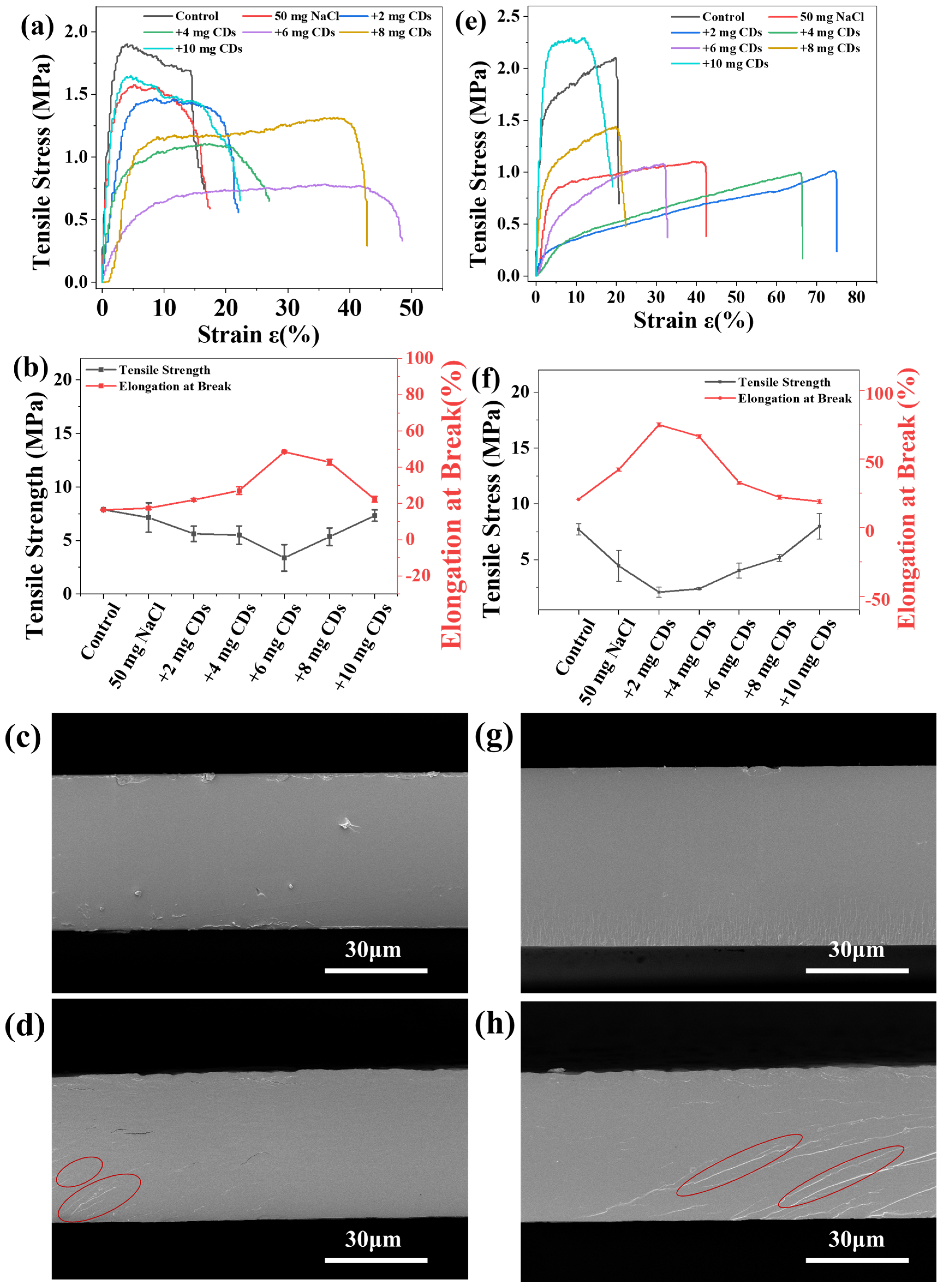 Molecules 30 04421 g003 Molecules 30 04421 g003