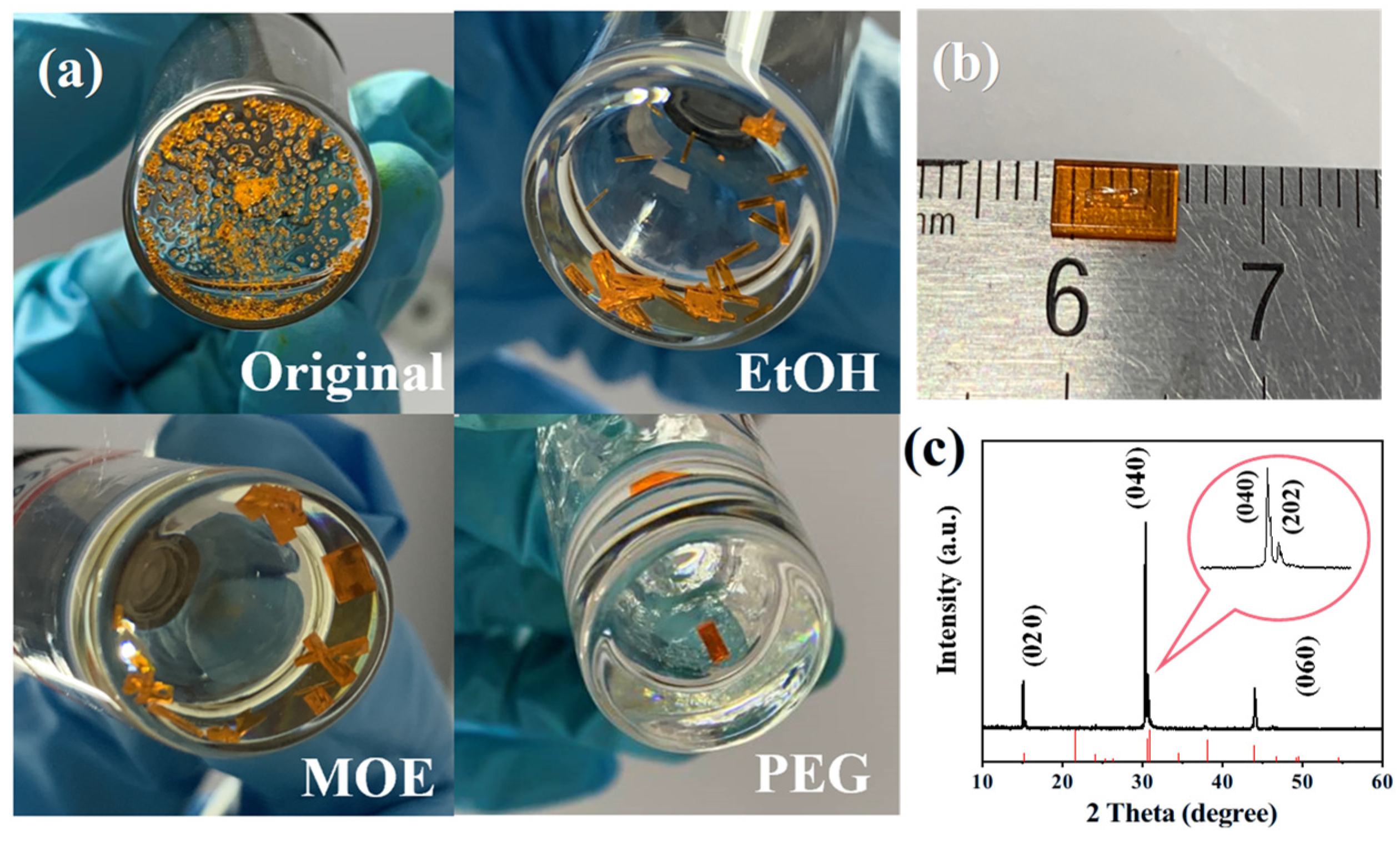 Molecules 30 04423 g001 Molecules 30 04423 g001