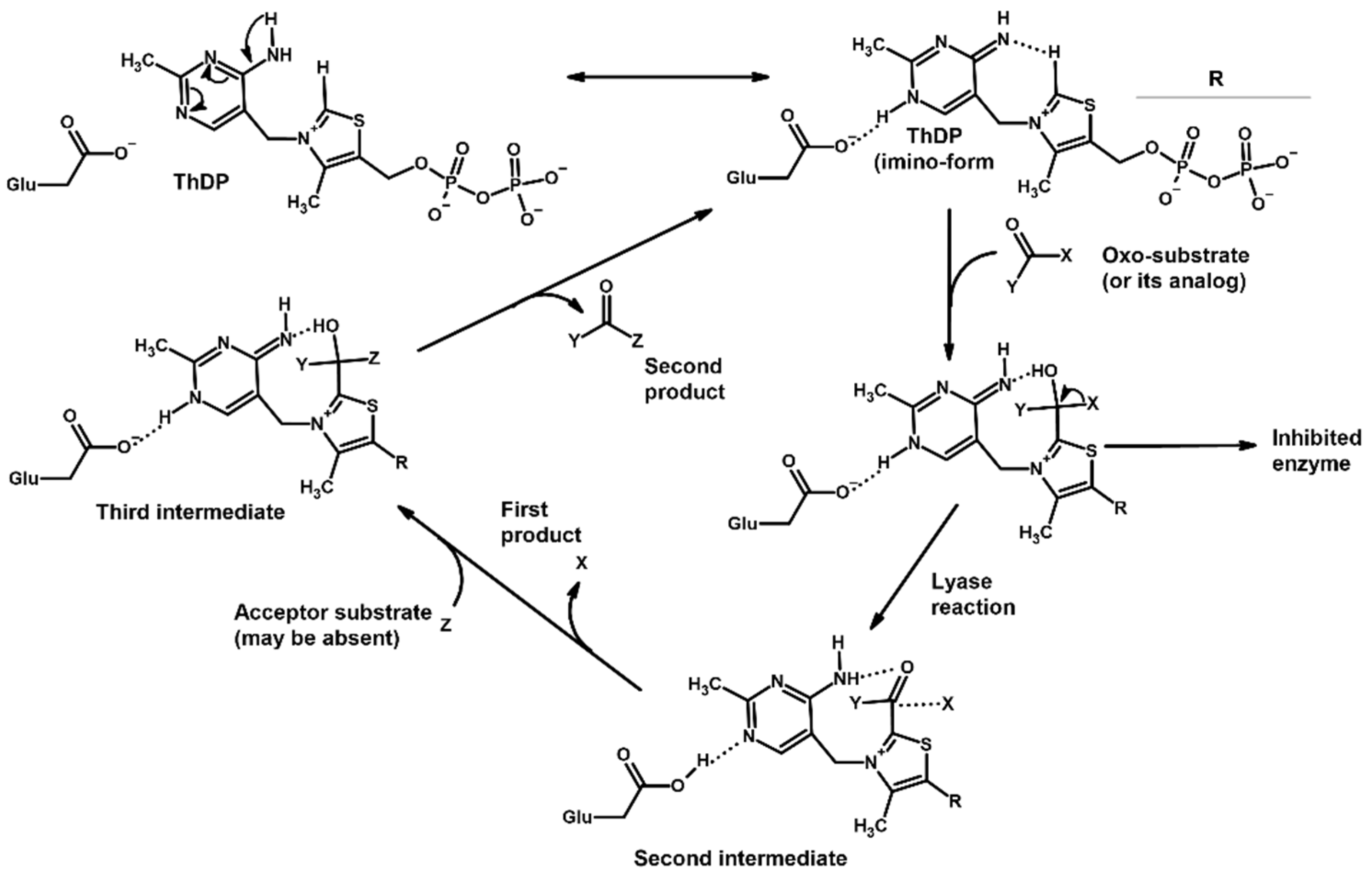 Molecules 30 04427 g001
