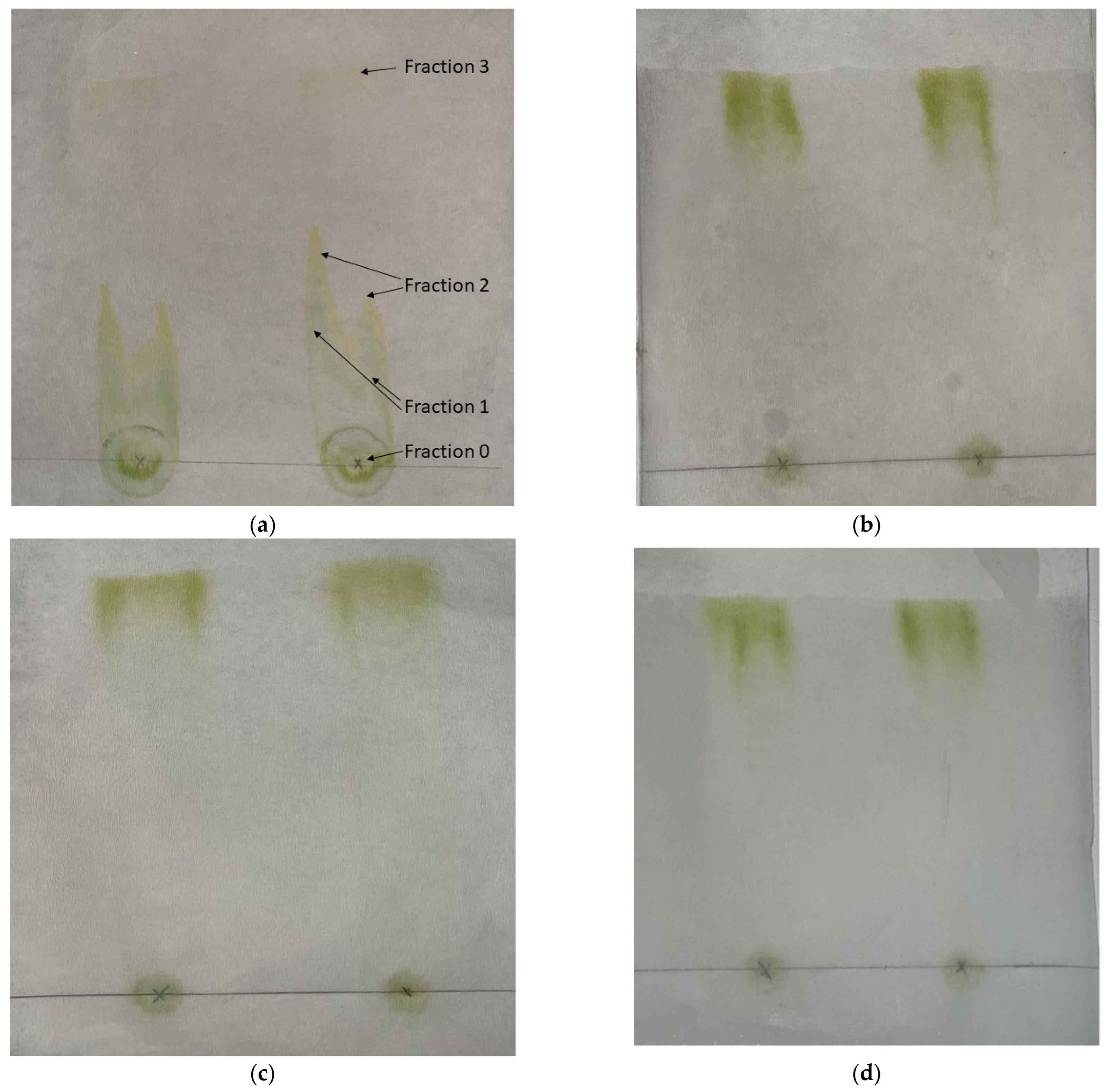 Molecules 30 04428 g002