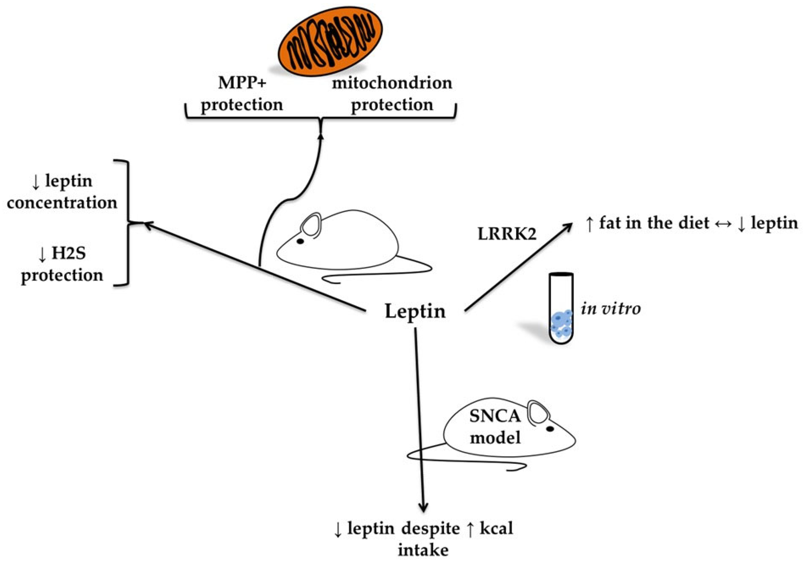 Molecules 30 04431 g003