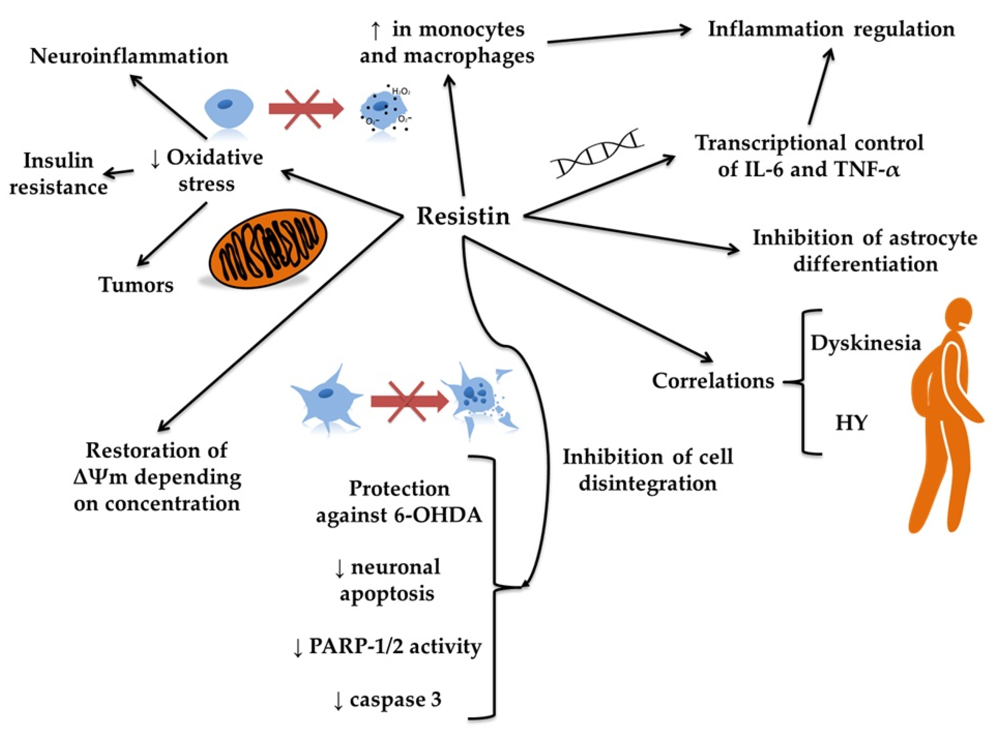Molecules 30 04431 g005