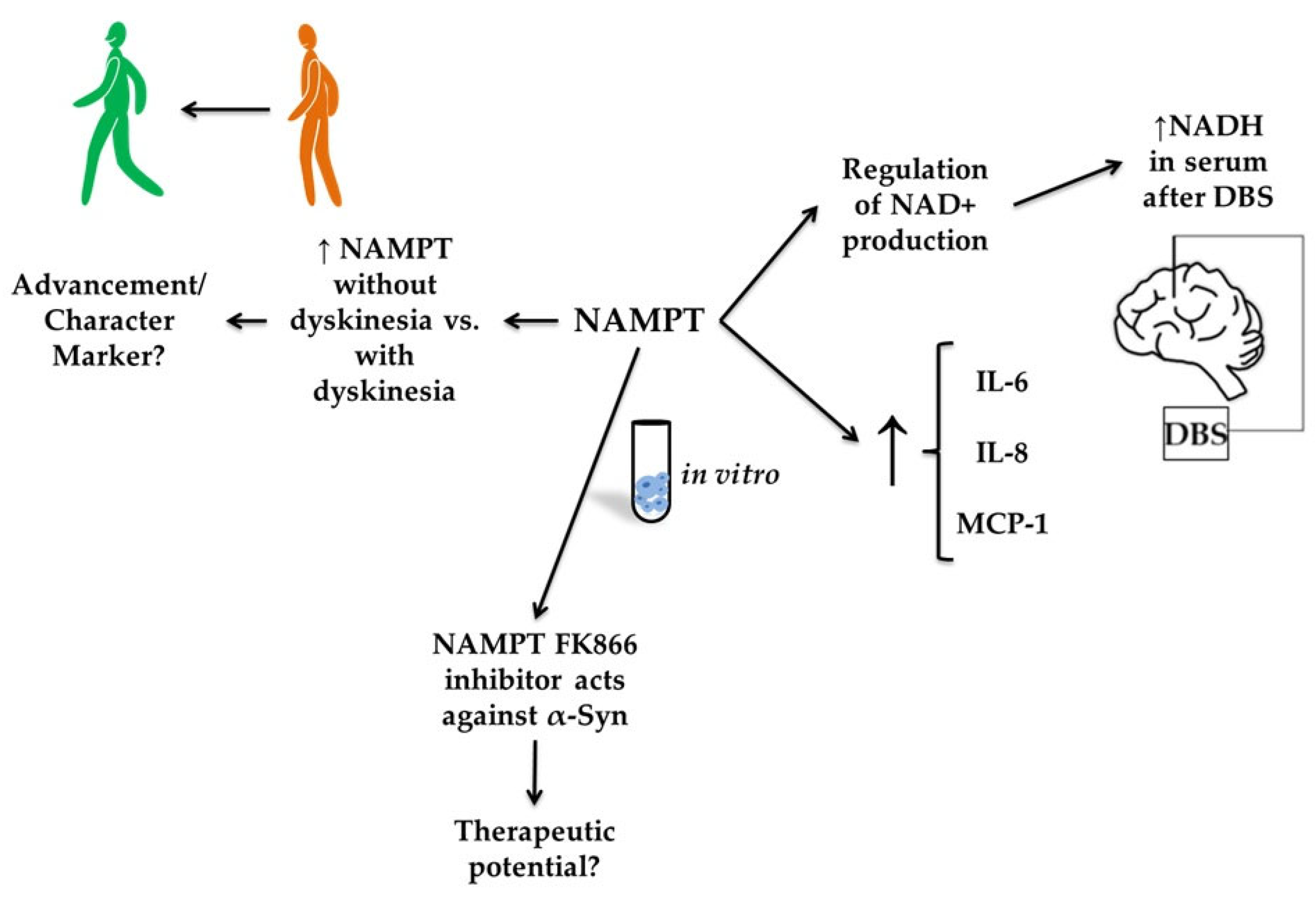 Molecules 30 04431 g006