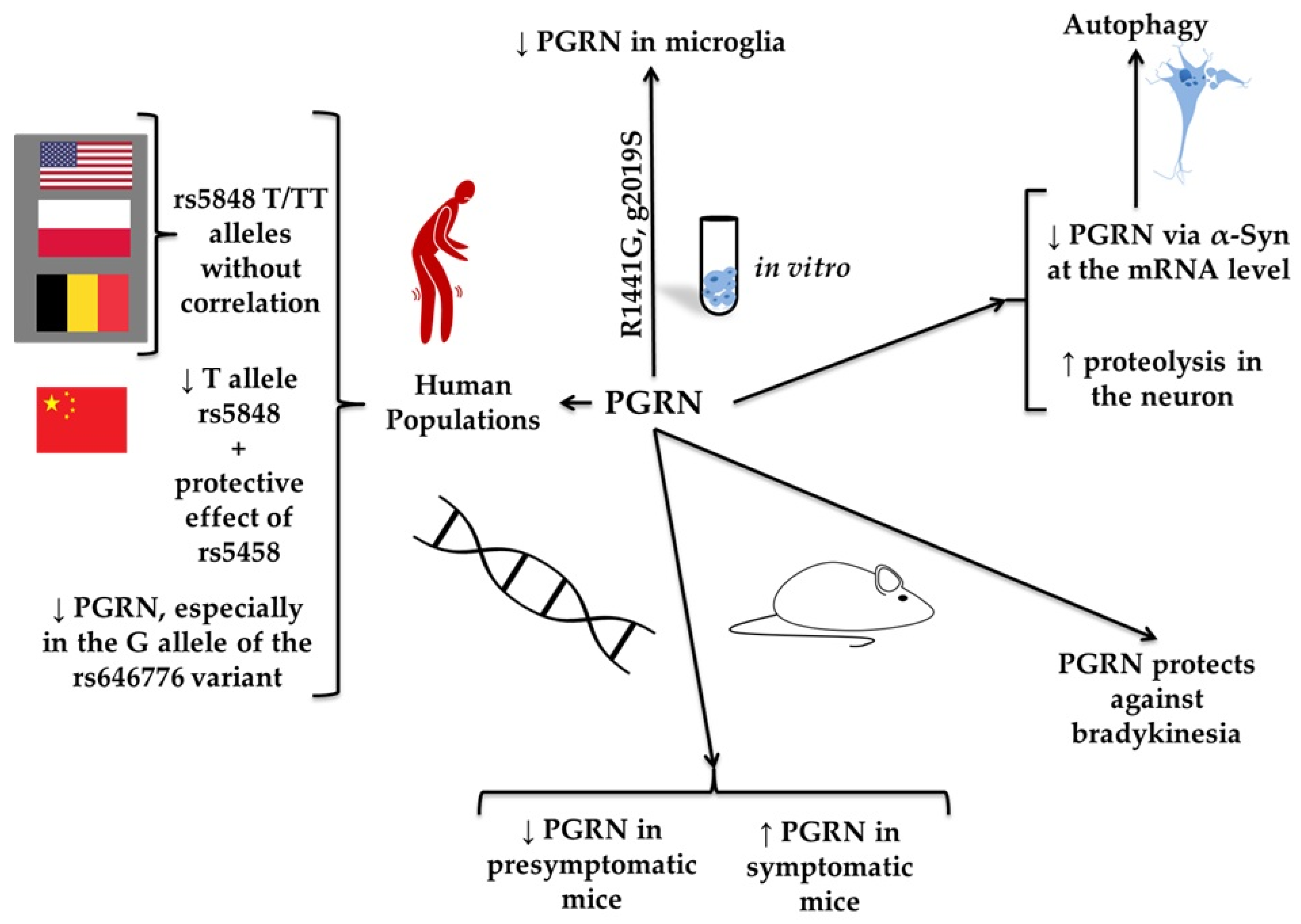 Molecules 30 04431 g008