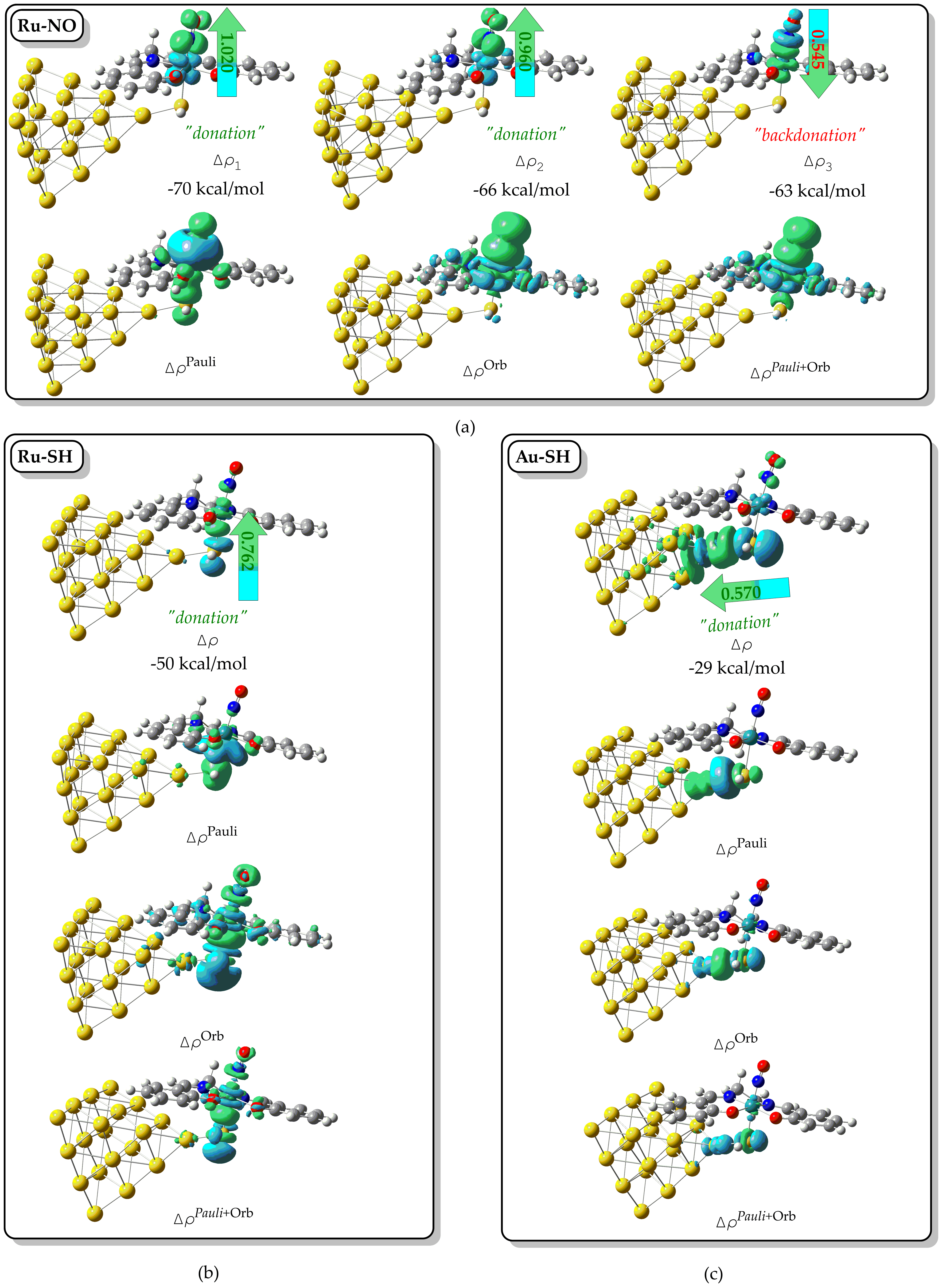 Molecules 30 04432 g003 Molecules 30 04432 g003