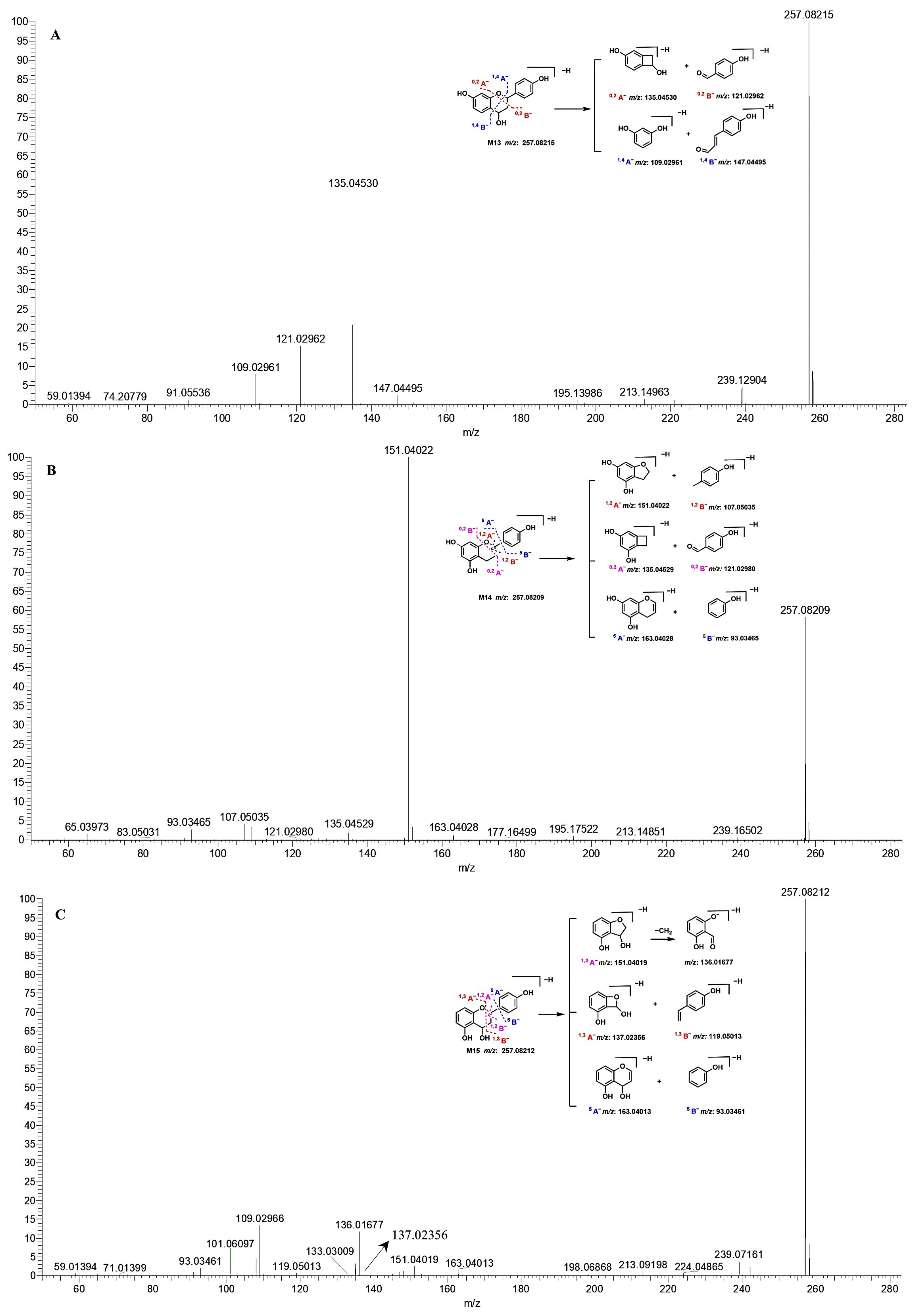 Molecules 30 04434 g004 Molecules 30 04434 g004