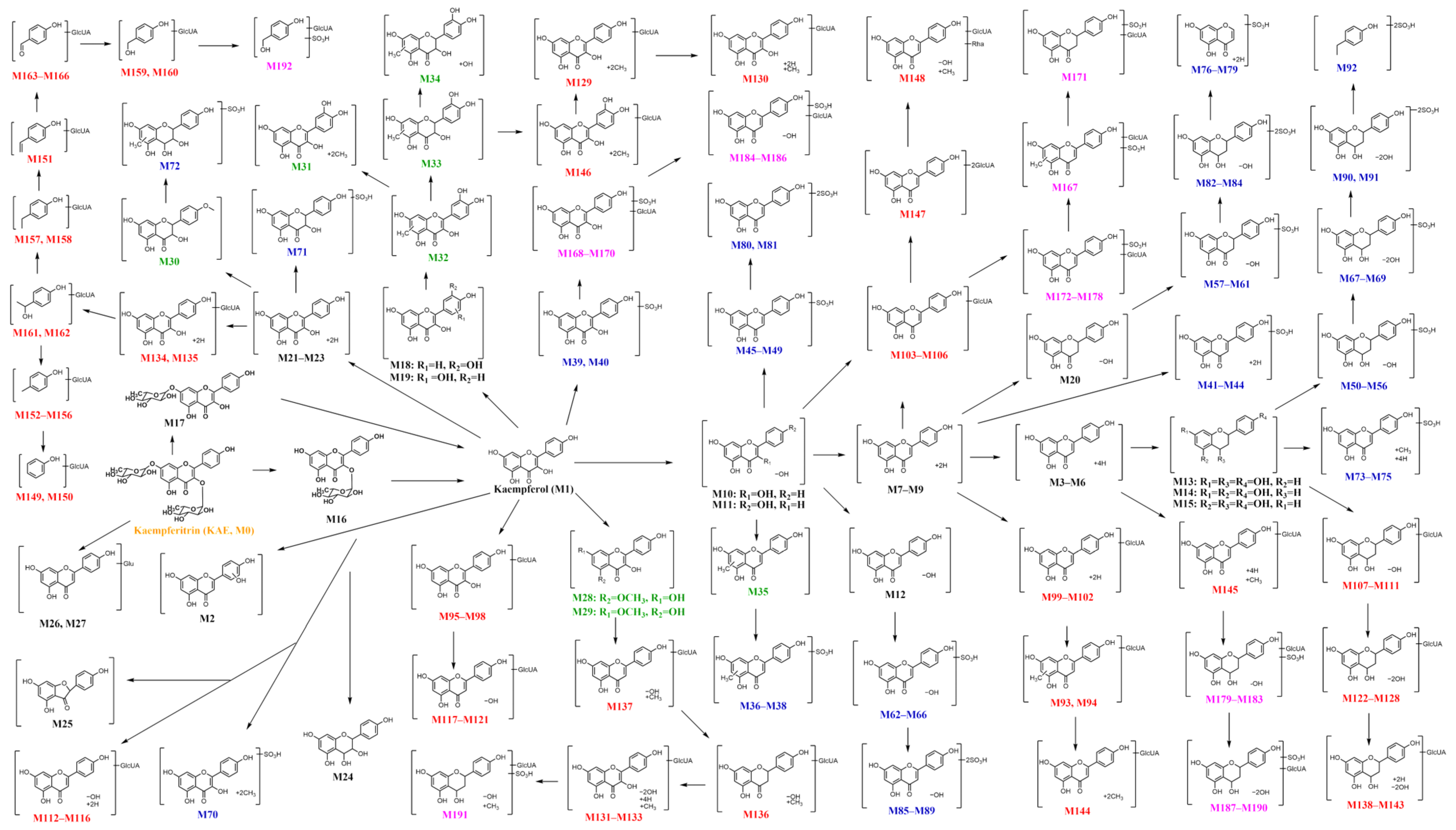 Molecules 30 04434 g006 Molecules 30 04434 g006