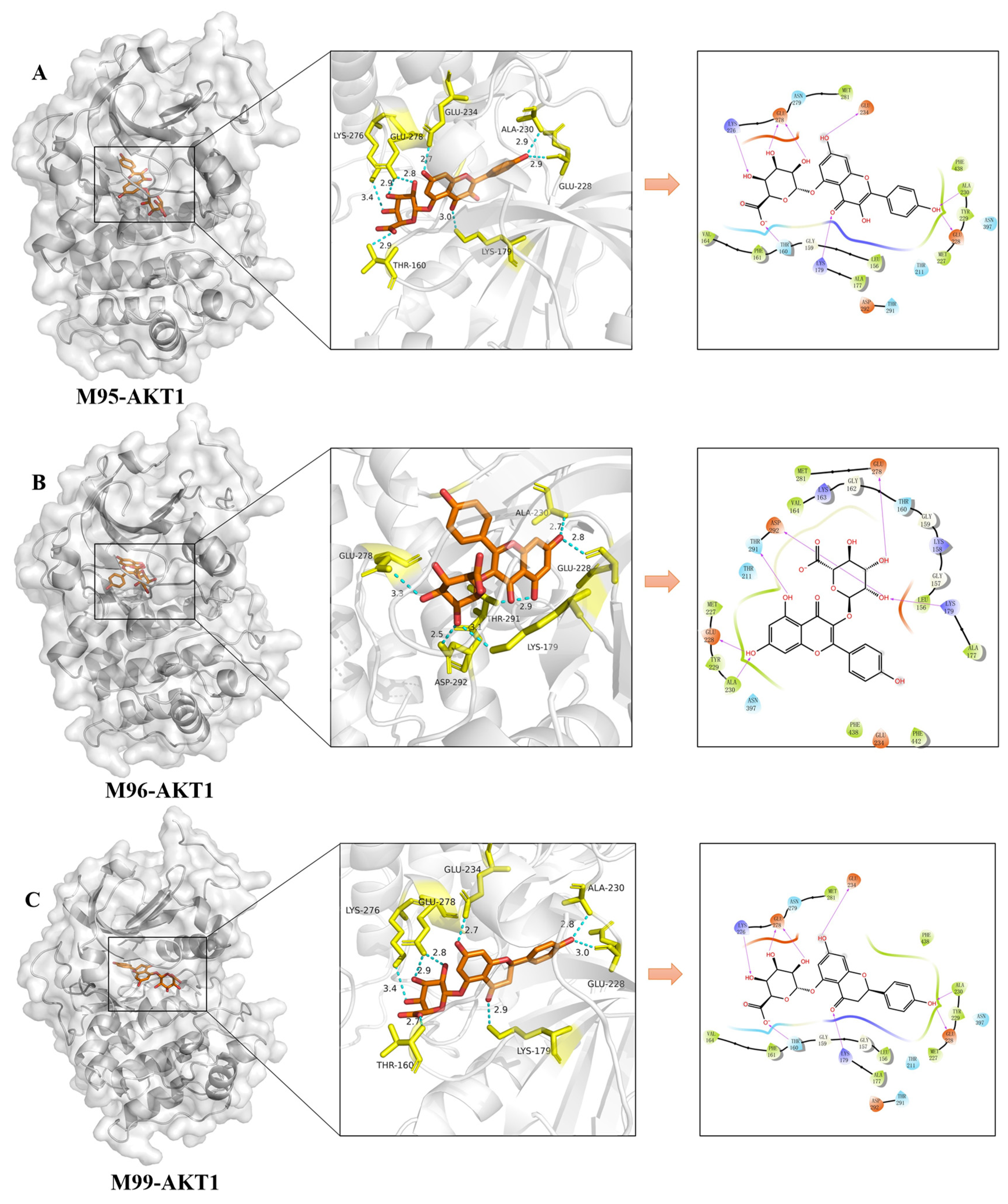 Molecules 30 04434 g011 Molecules 30 04434 g011