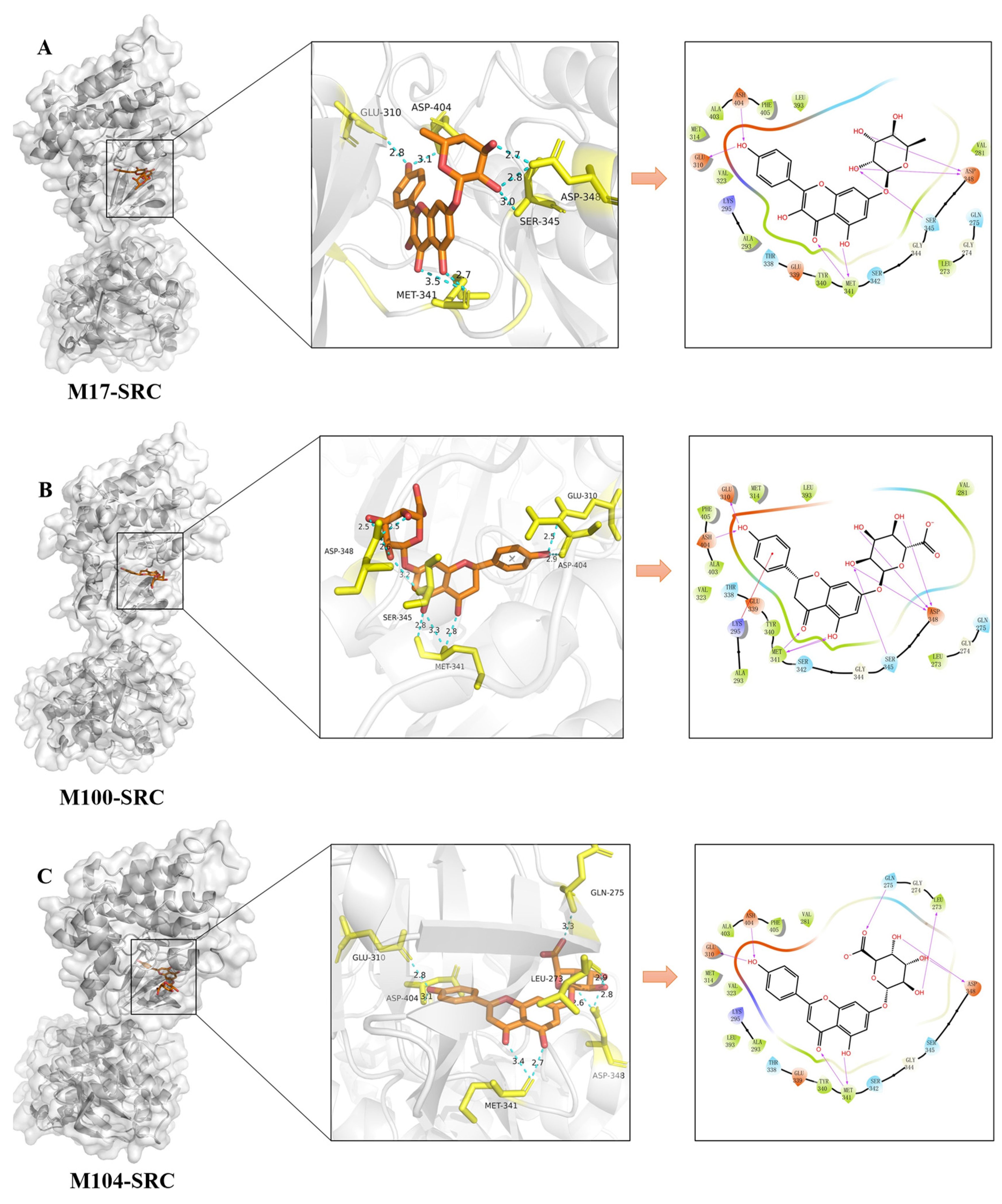 Molecules 30 04434 g012 Molecules 30 04434 g012