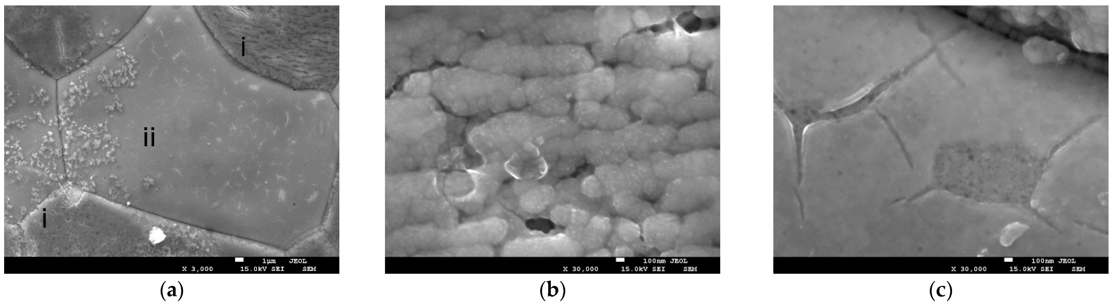 Molecules 30 04437 g004