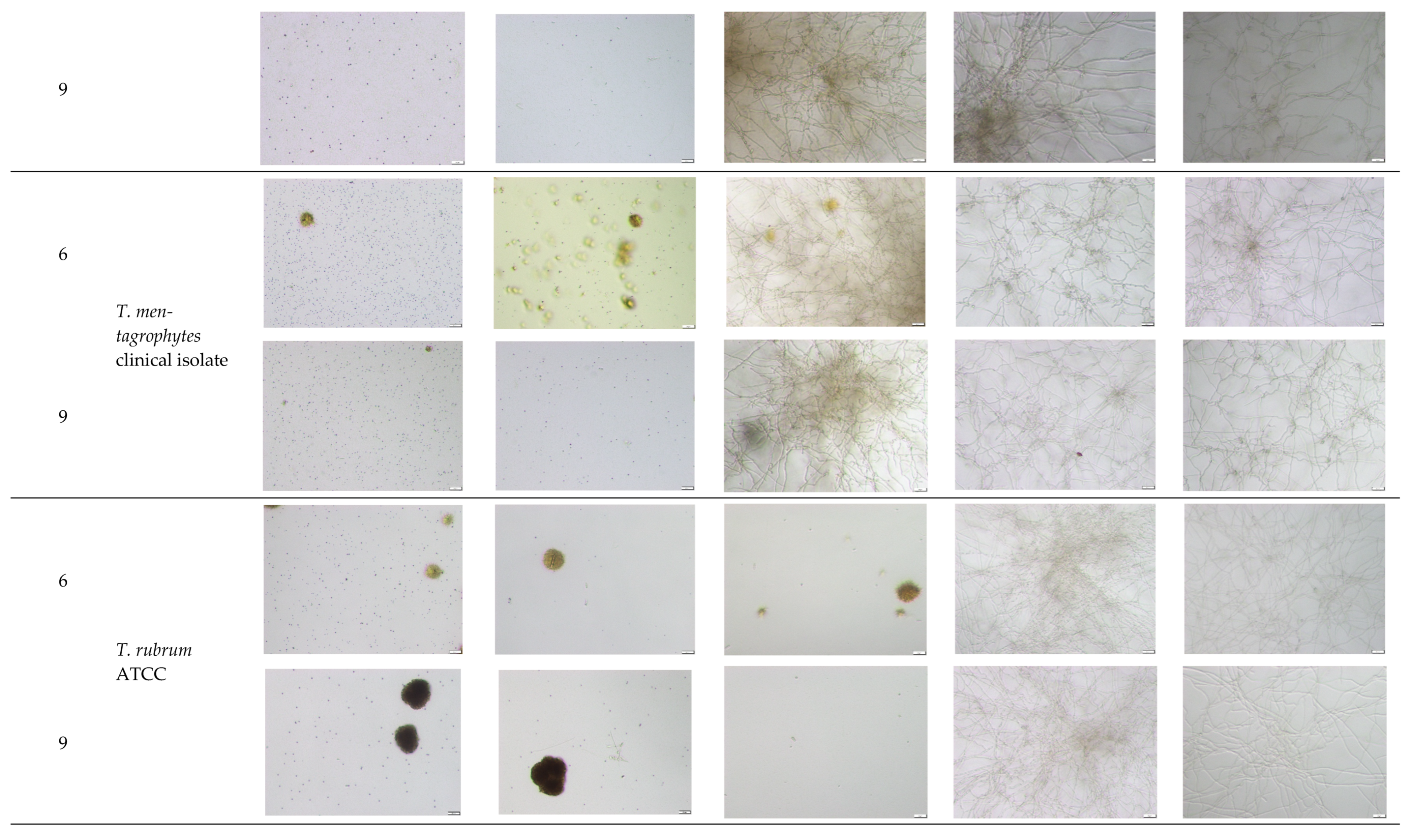 Molecules 30 04439 g0a2c
