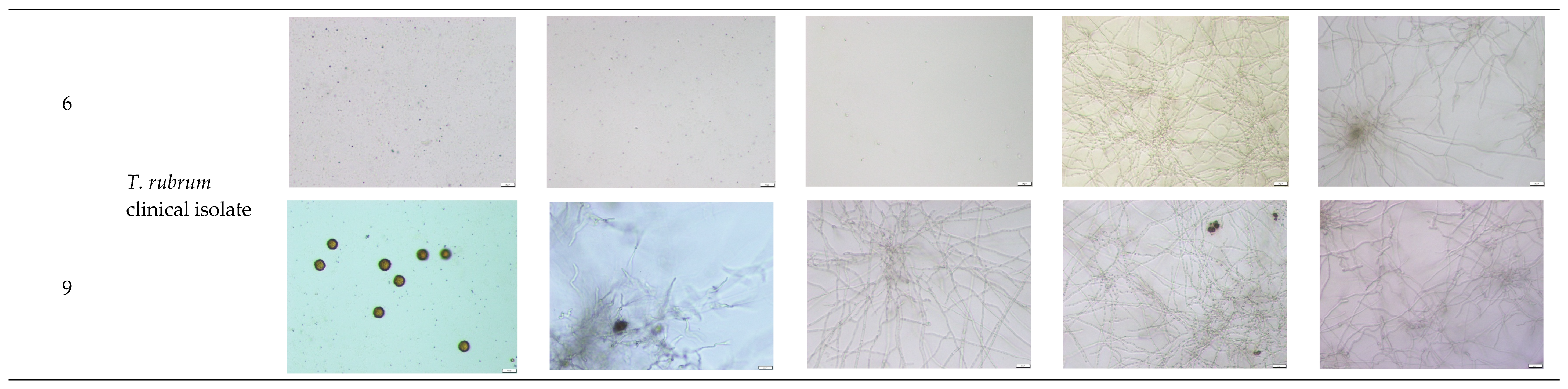 Molecules 30 04439 g0a2d