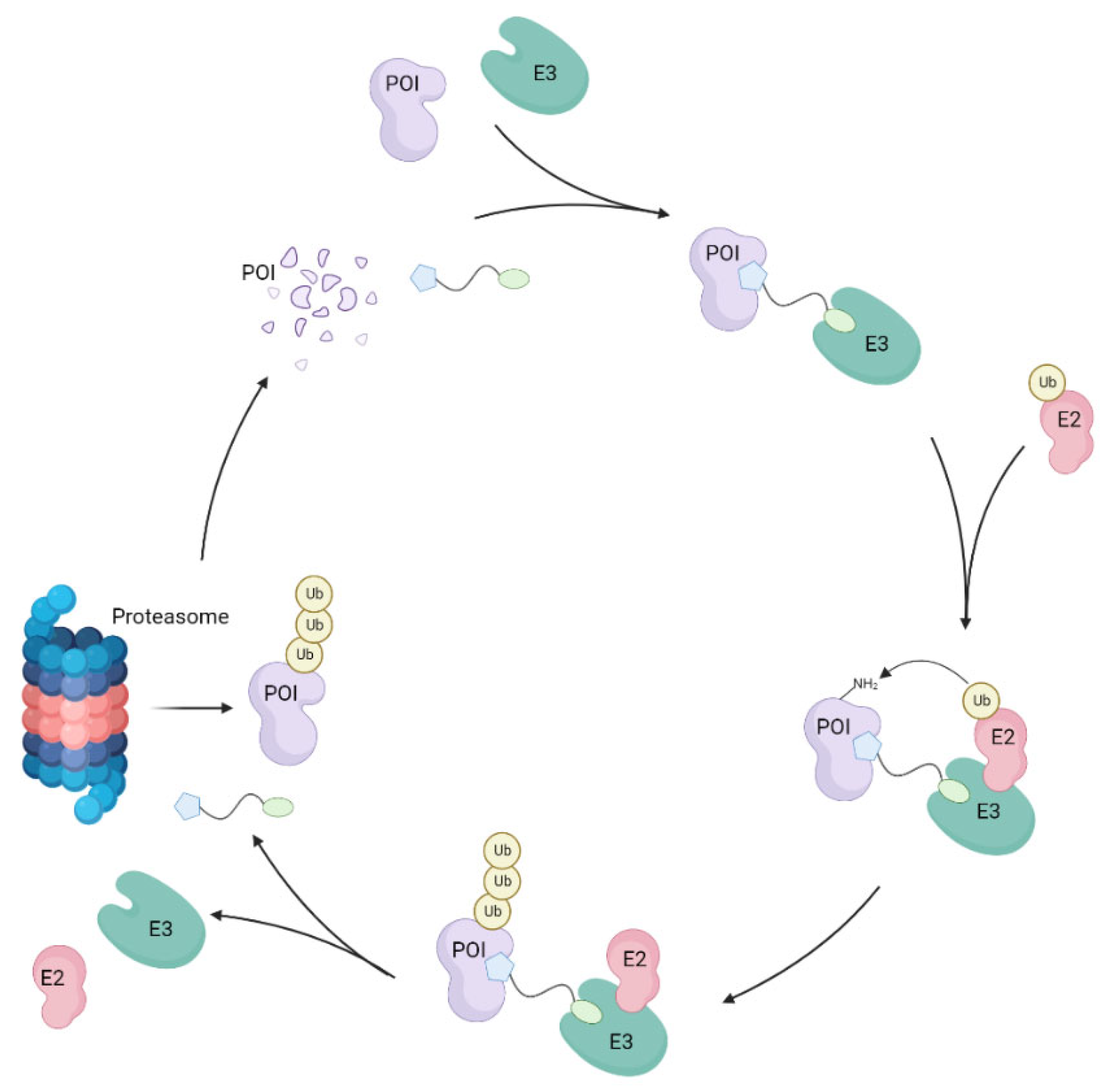 Molecules 30 04452 g001 Molecules 30 04452 g001