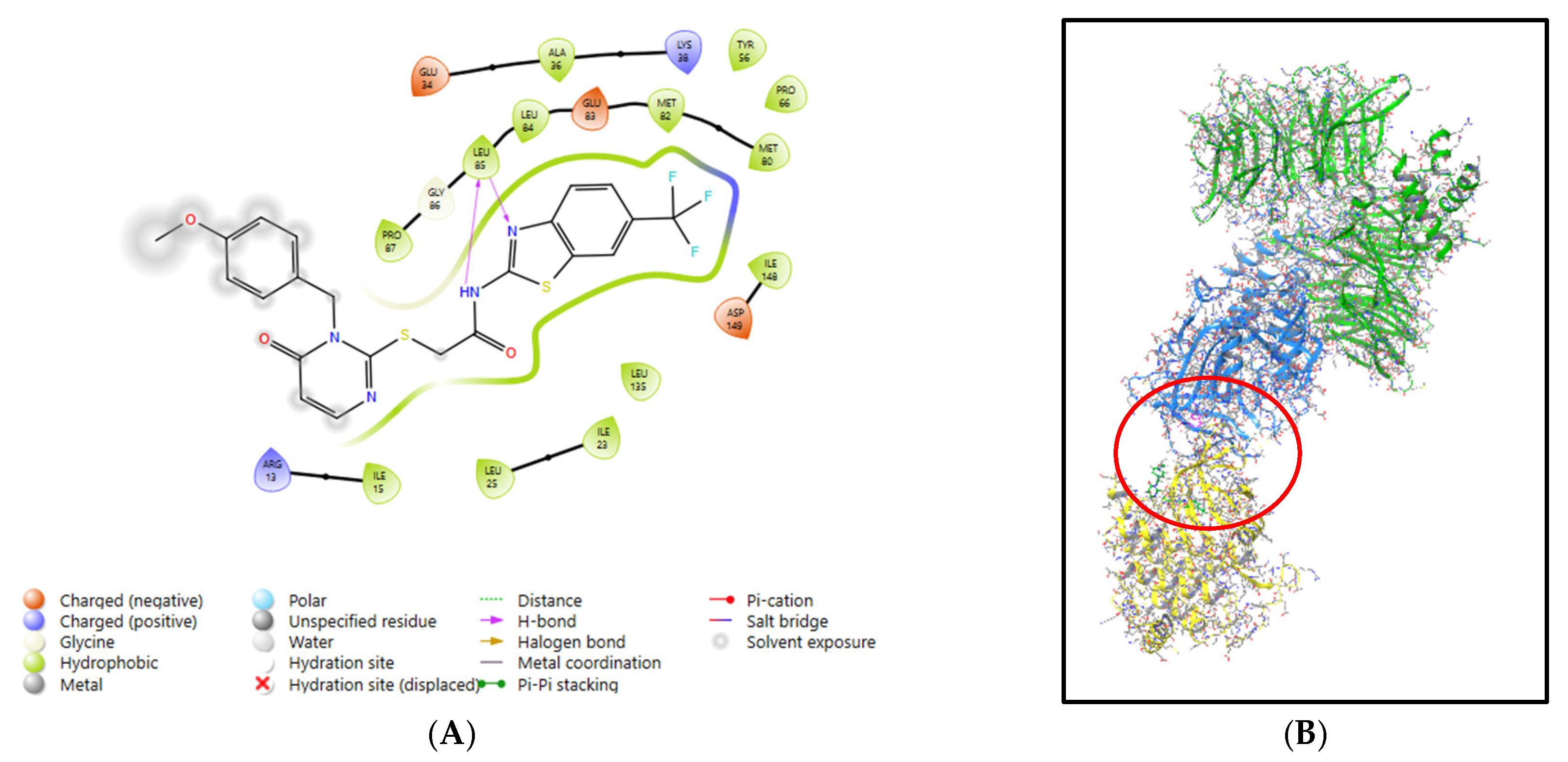 Molecules 30 04452 g002a Molecules 30 04452 g002a